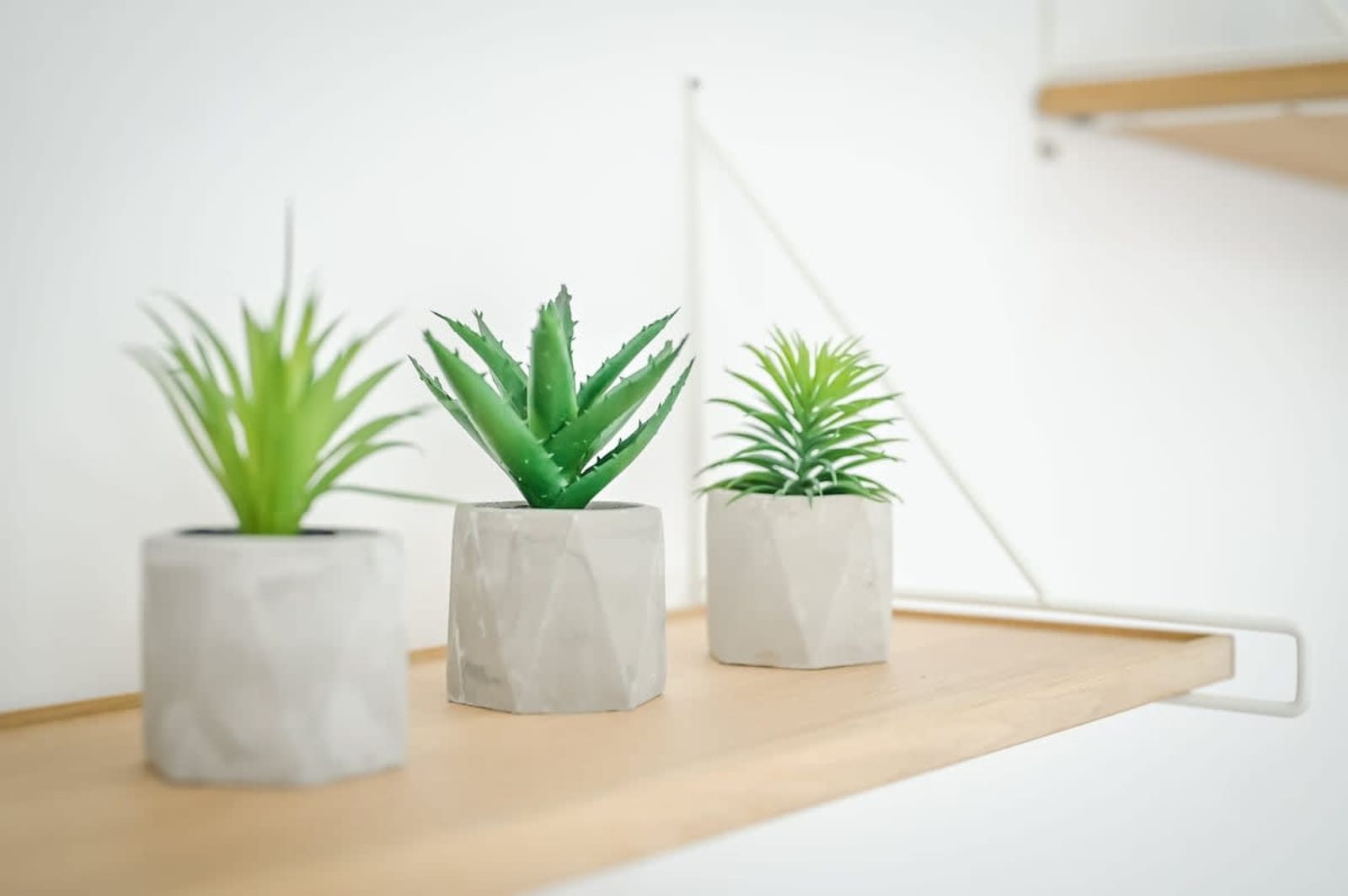 Floral Studio Retreat in Sofia City Center - Photo 15