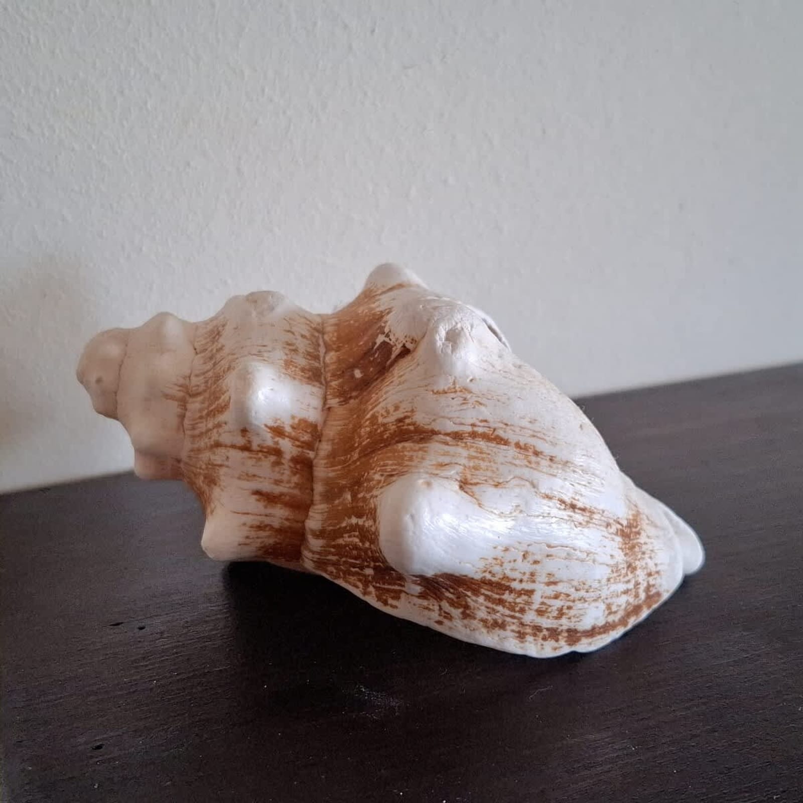 Stunning Sea View Studio in Elenite - Photo 34