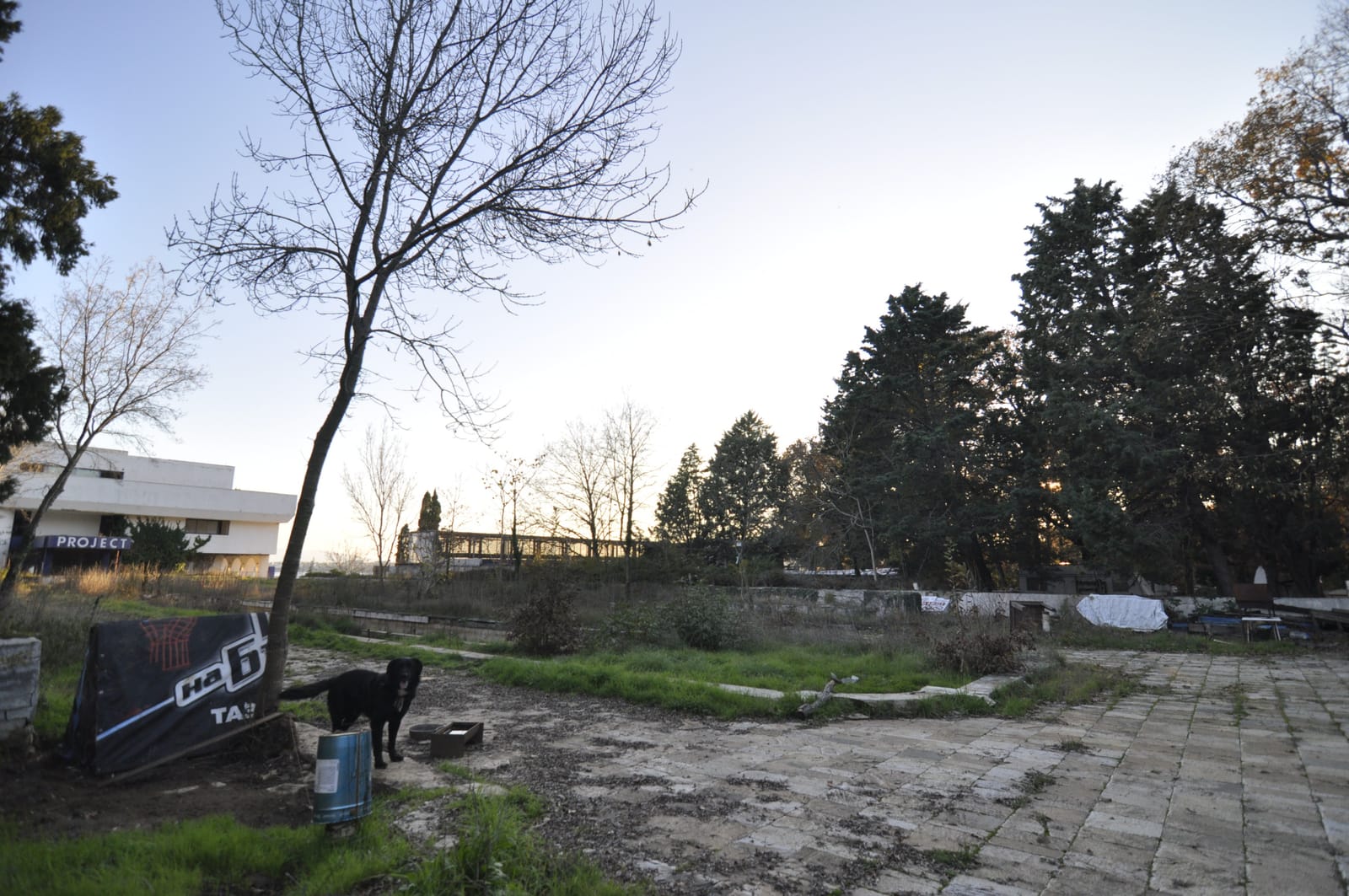 The Ghost Residence - Photo 3