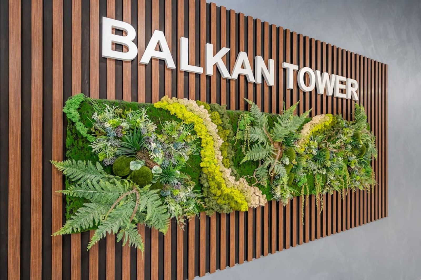 Golden Mountains - Photo 22