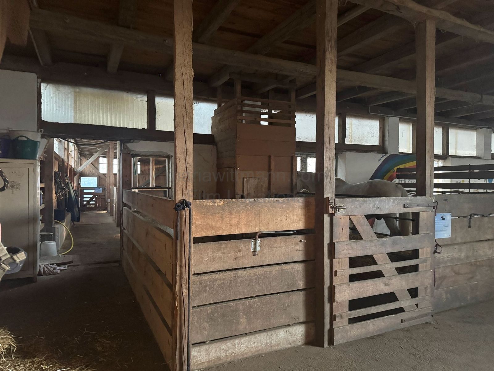 Location 483 - Photo 16