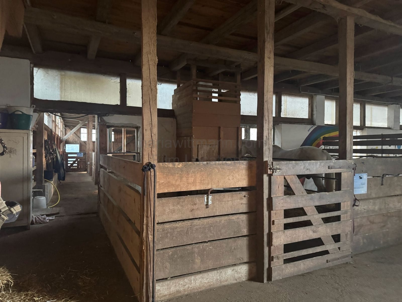 Location 483 - Photo 16