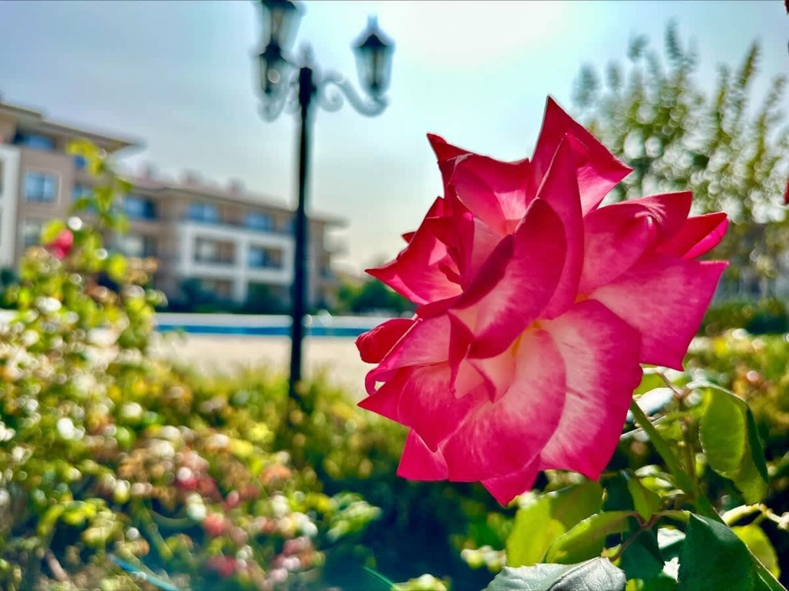 Cozy studio in Sea Dreams - Photo 17