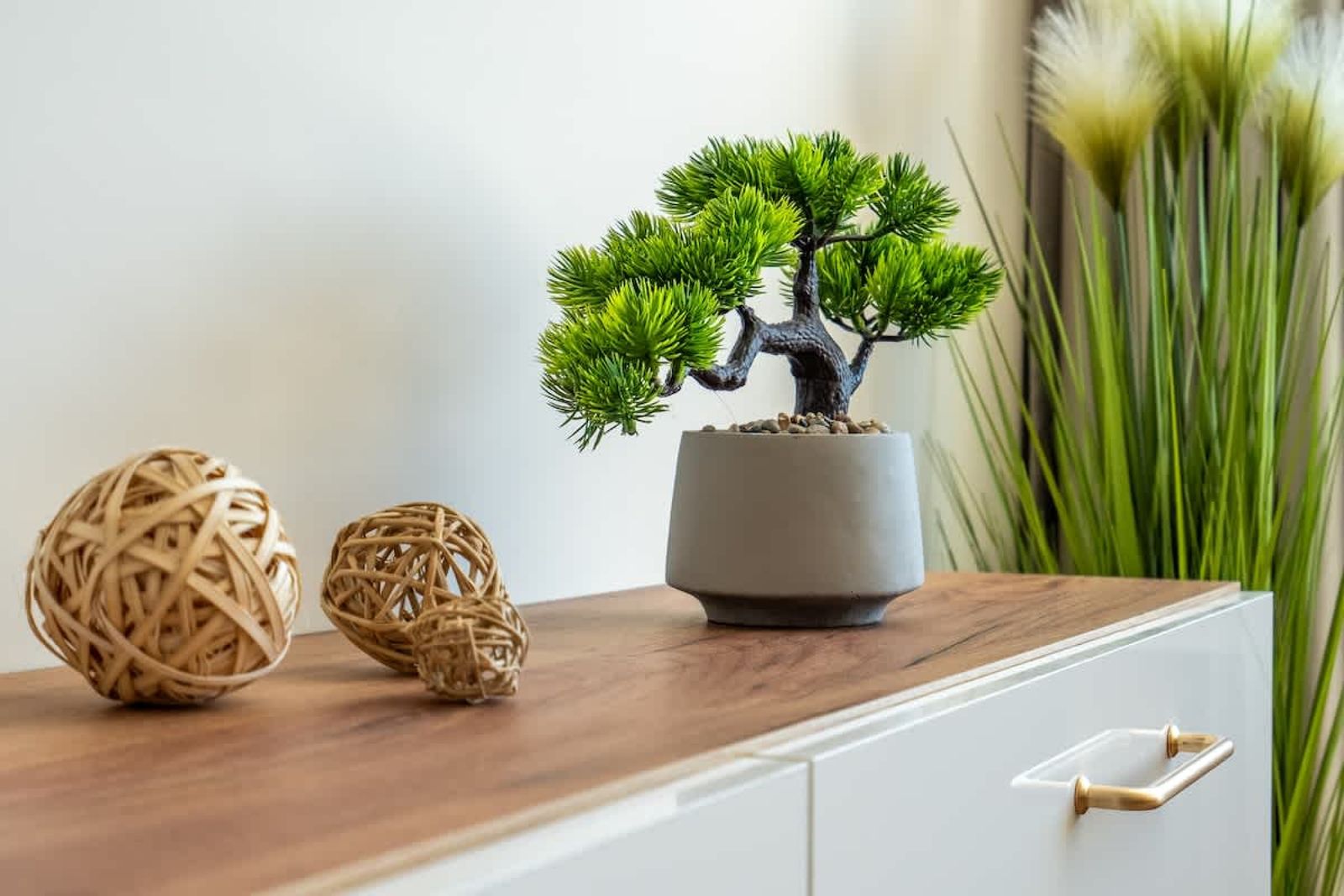 Golden Mountains - Photo 3