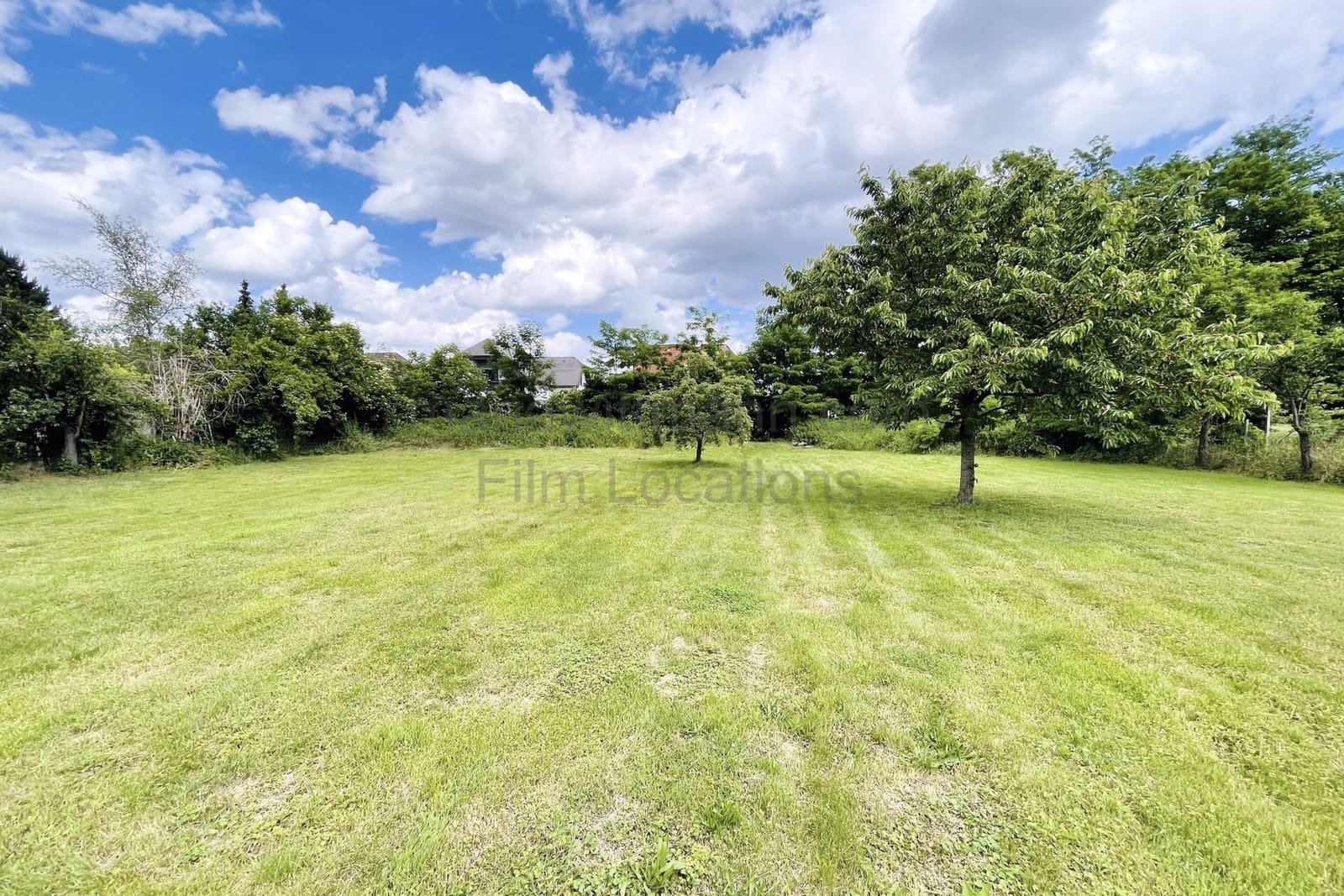 Location 259 - Photo 23