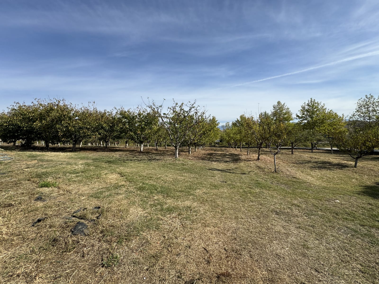 Zornitza Family Estate - Farm - Photo 8