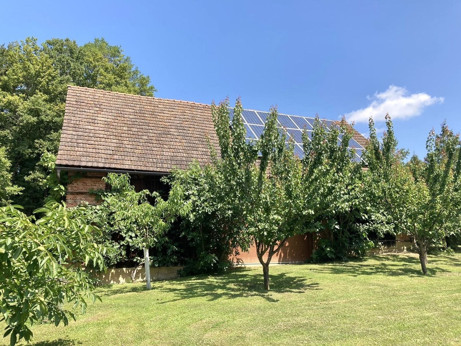 Location 293 - Photo 6