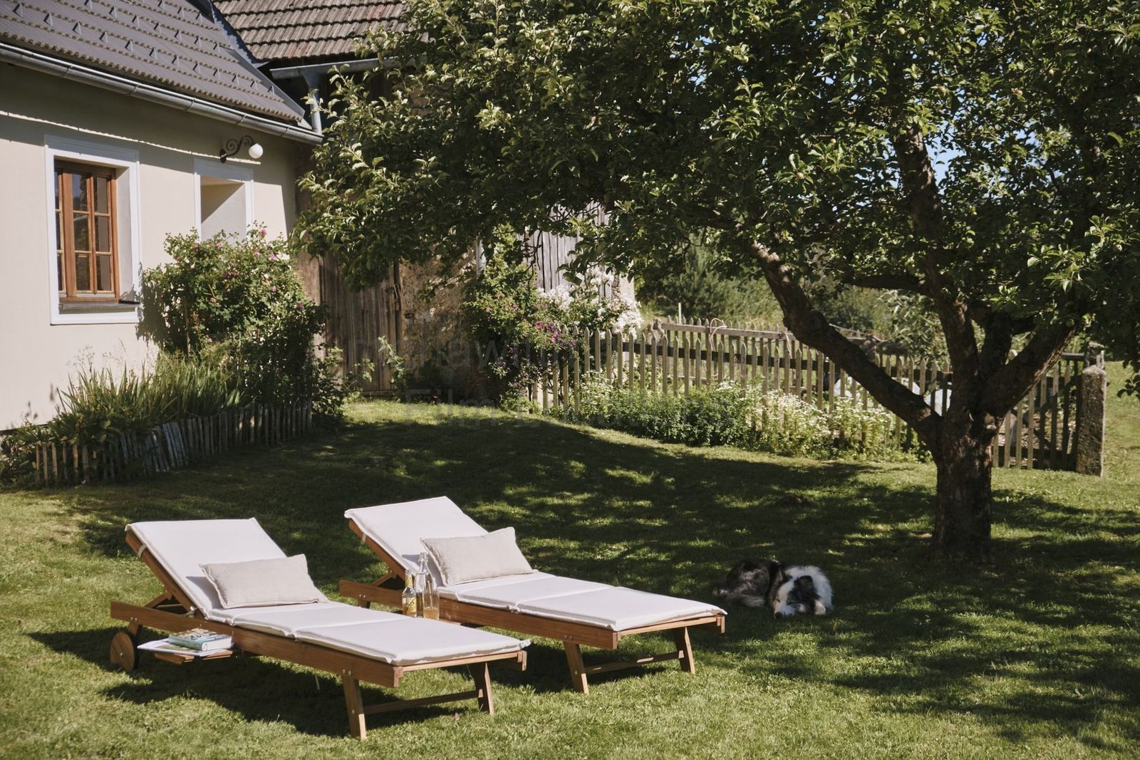 Location 477 - Photo 6