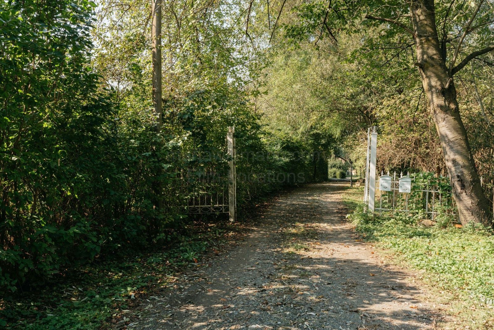 Location 511 - Photo 3