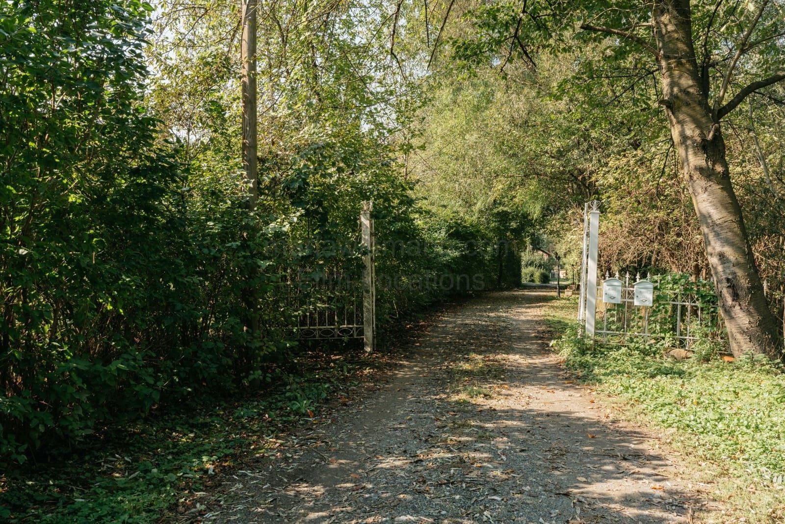 Location 511 - Photo 3