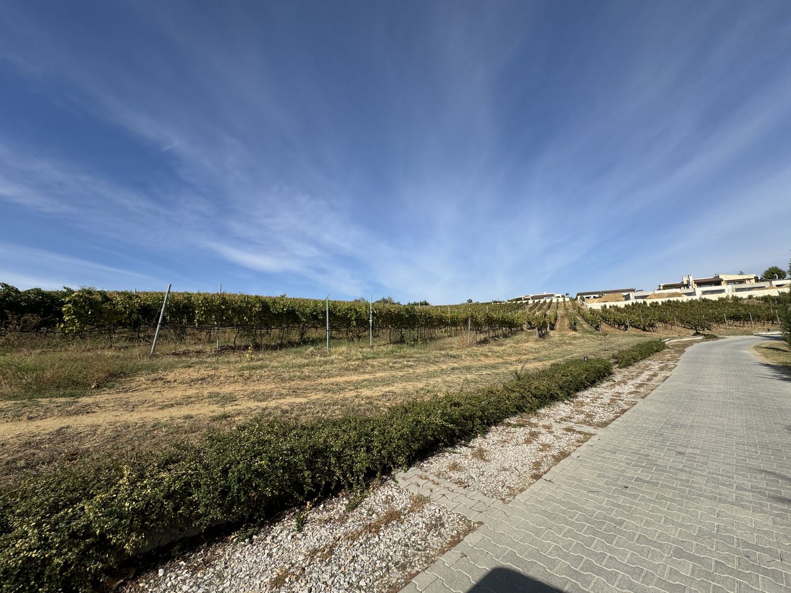 Zornitza Family Estate - Farm - Cover Photo