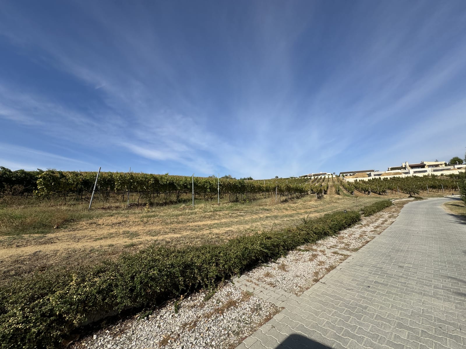 Zornitza Family Estate - Farm - Cover Photo