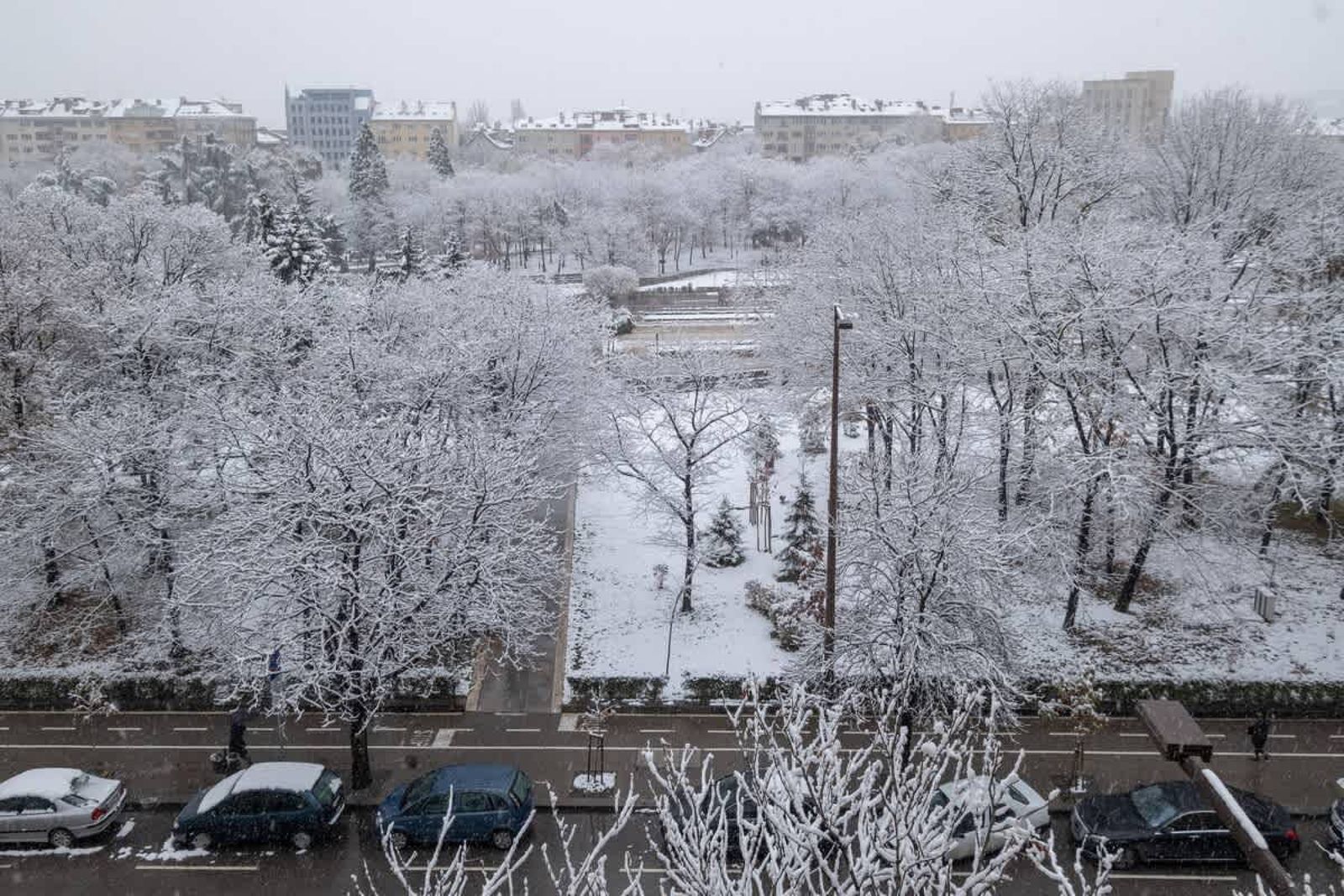 Little HoMe with a Park View - Photo 30