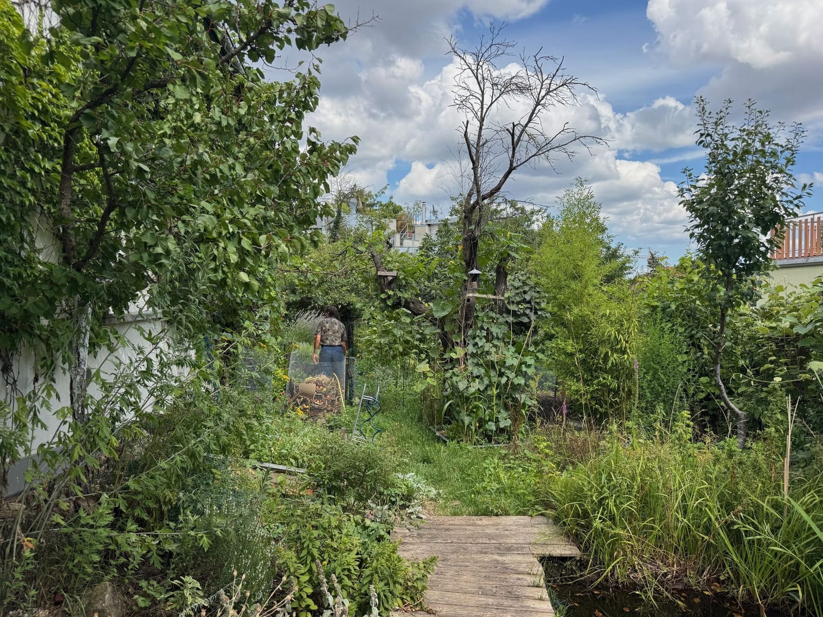 Location 494 - Photo 32