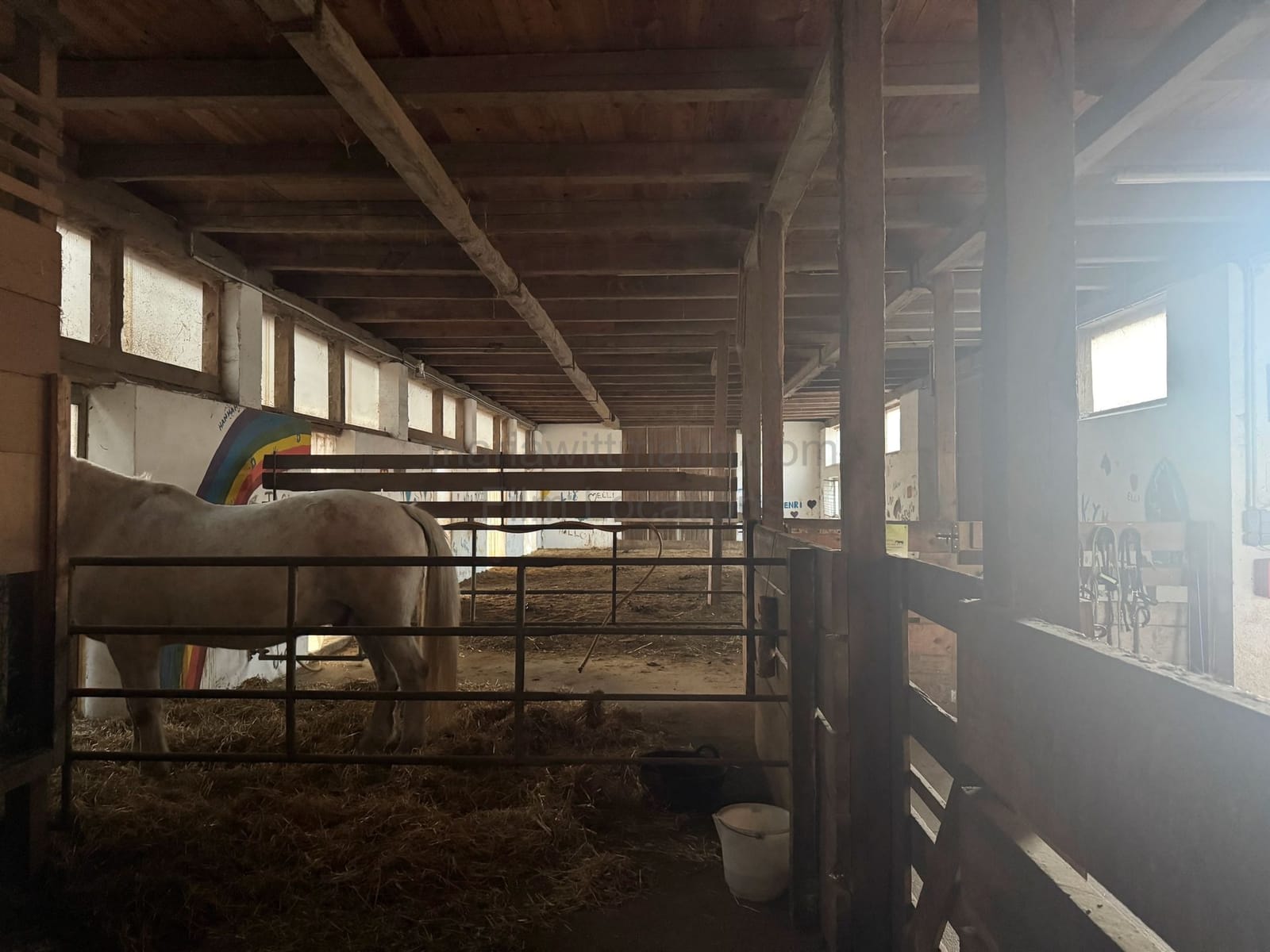 Location 483 - Photo 19