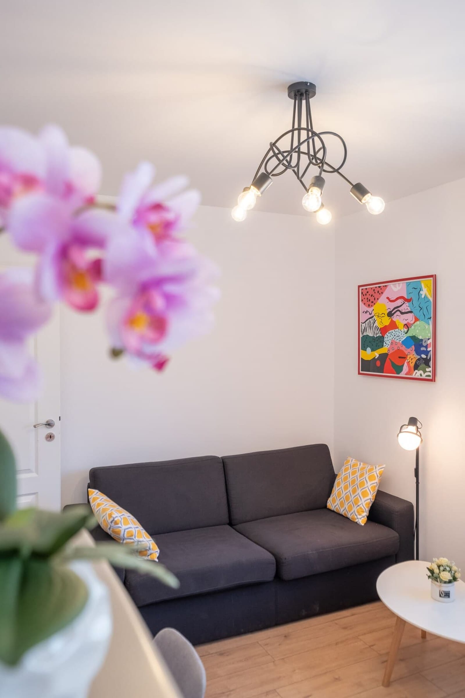 Alex cozy apartment - 1 bedroom - Photo 4