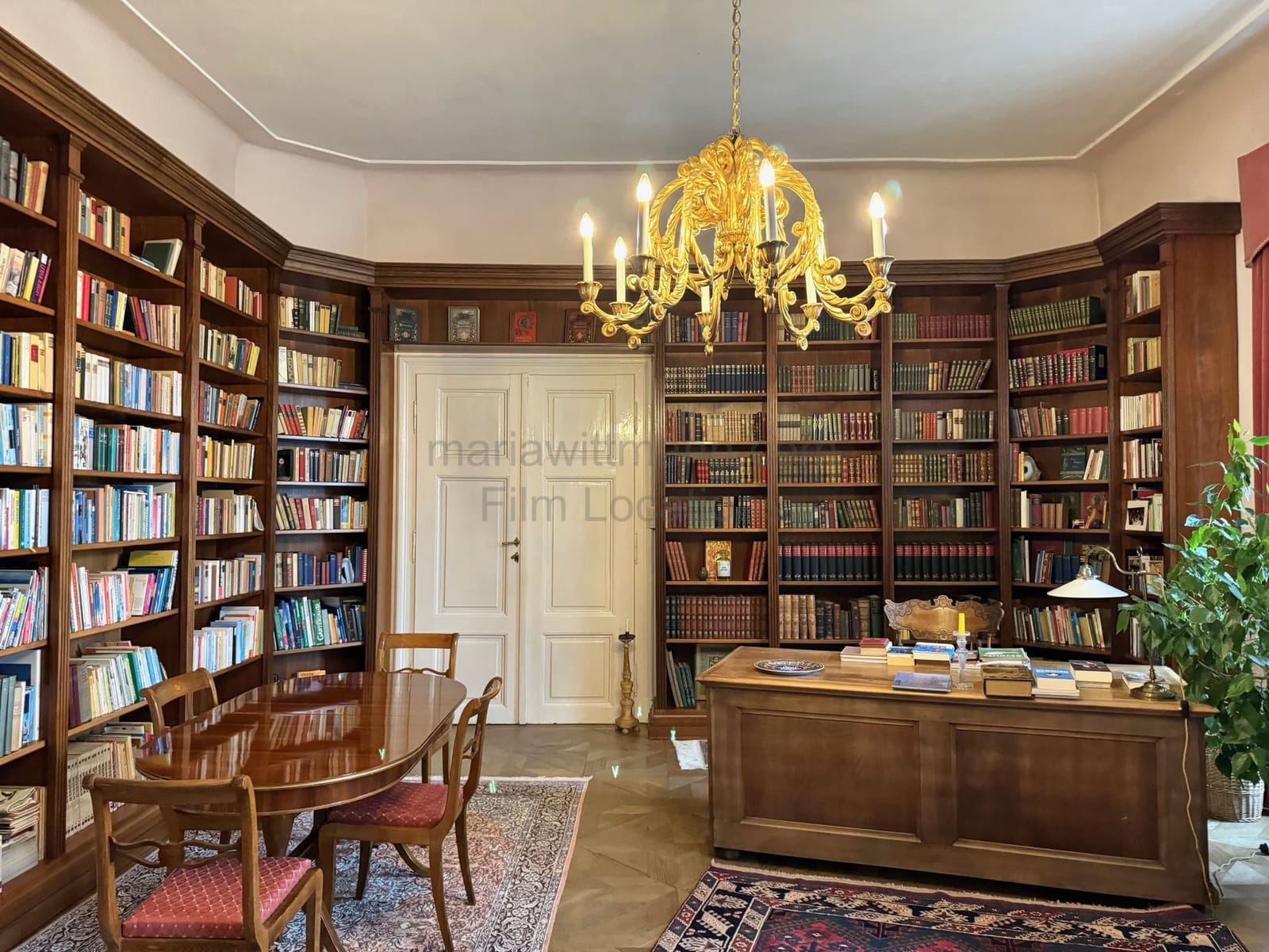 Location 482 - Photo 3