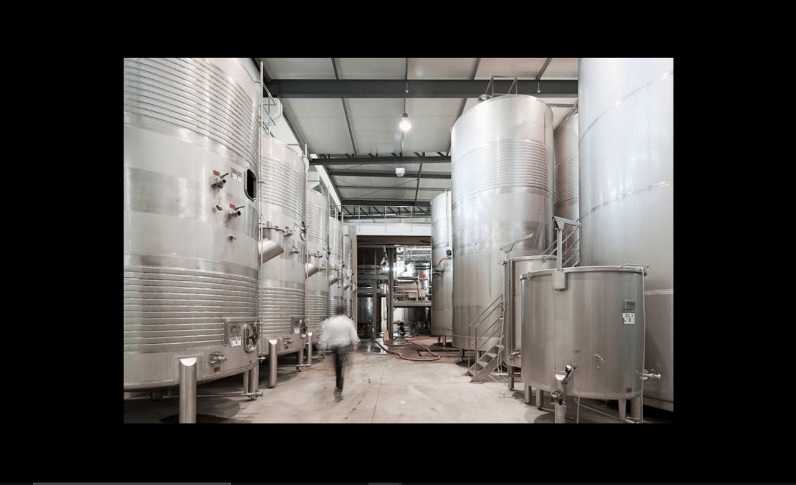 Logowines Winery - Photo 14