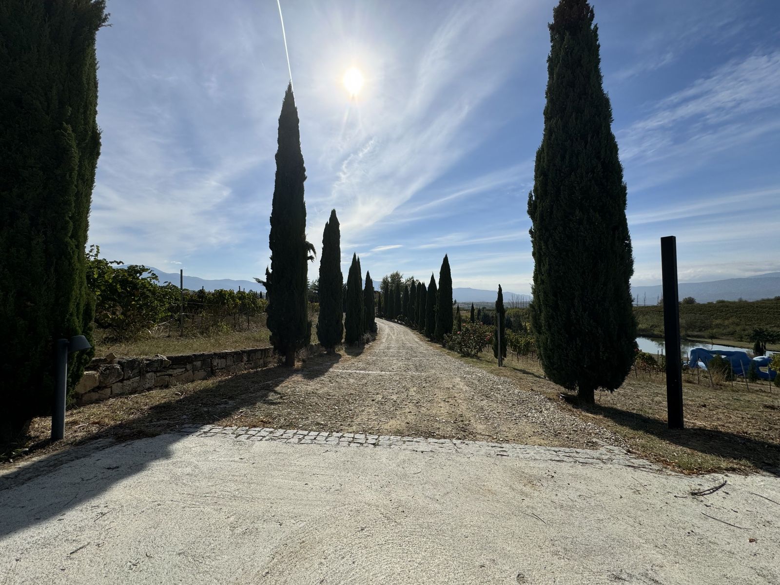 Zornitza Family Estate - Farm - Photo 18