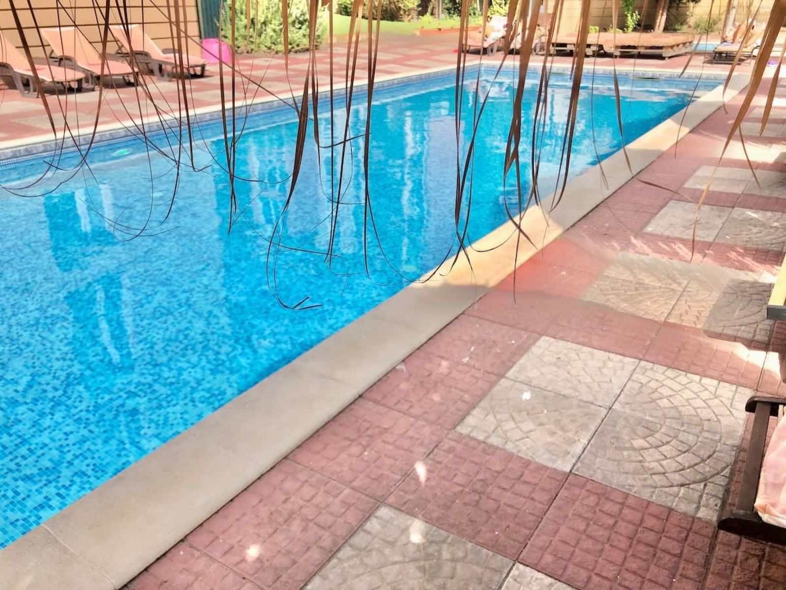 Cozy pool view studio  Sunny View Central - Photo 19