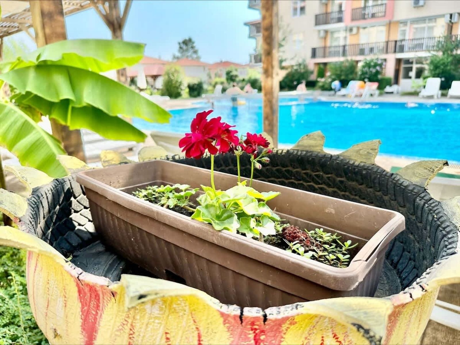 Cozy Chateu Aheloy 2  family studio - Photo 8