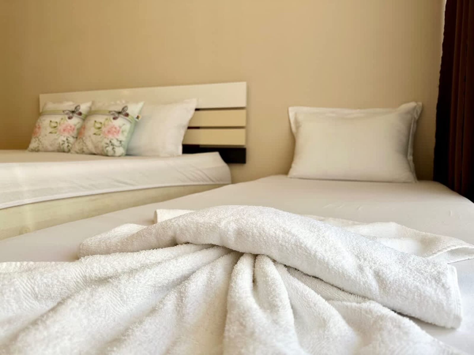 Cozy Studio  Sunny View Central - Photo 26