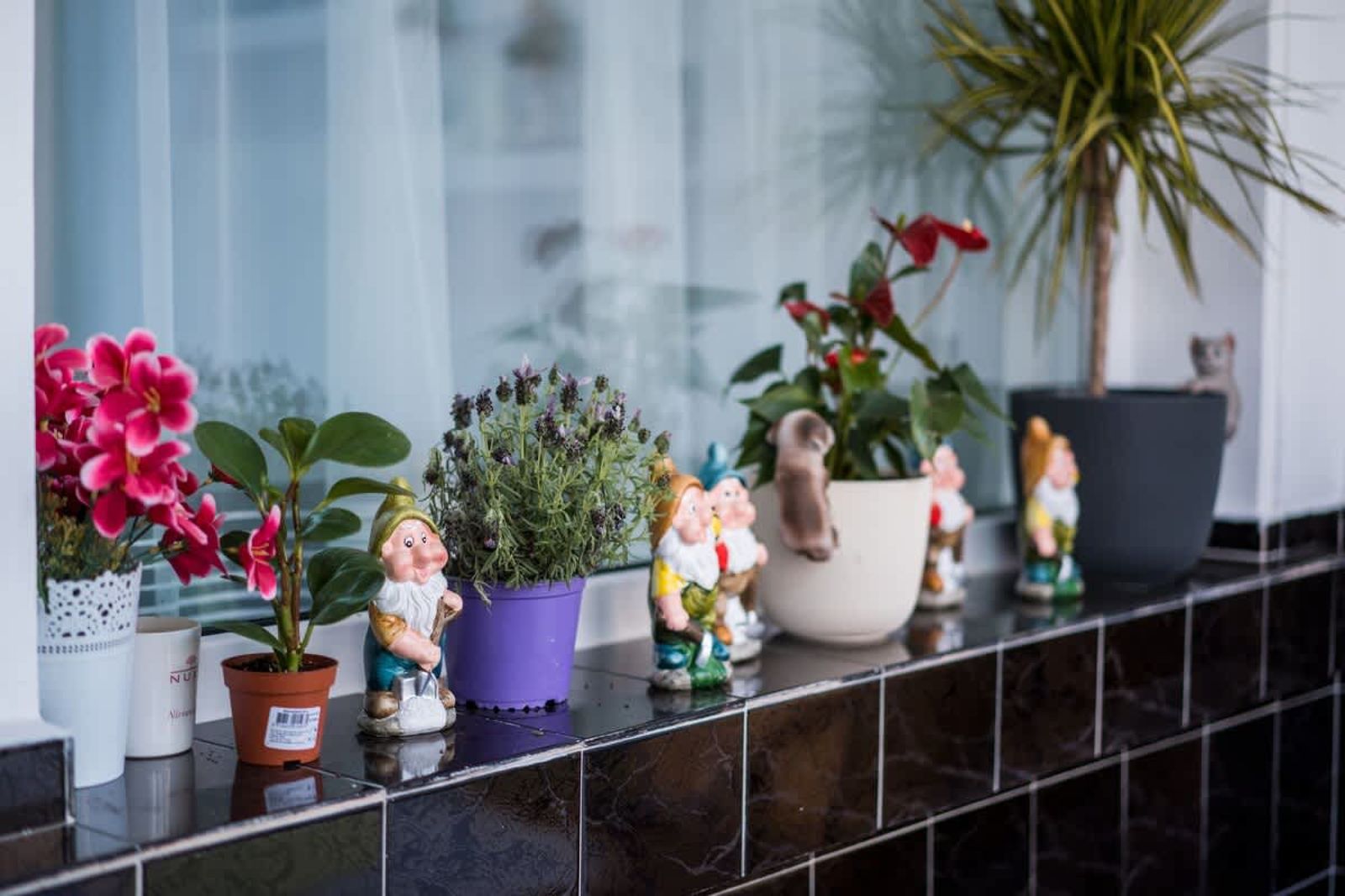 Black Sea 2bdrm Central Apartment - Photo 36