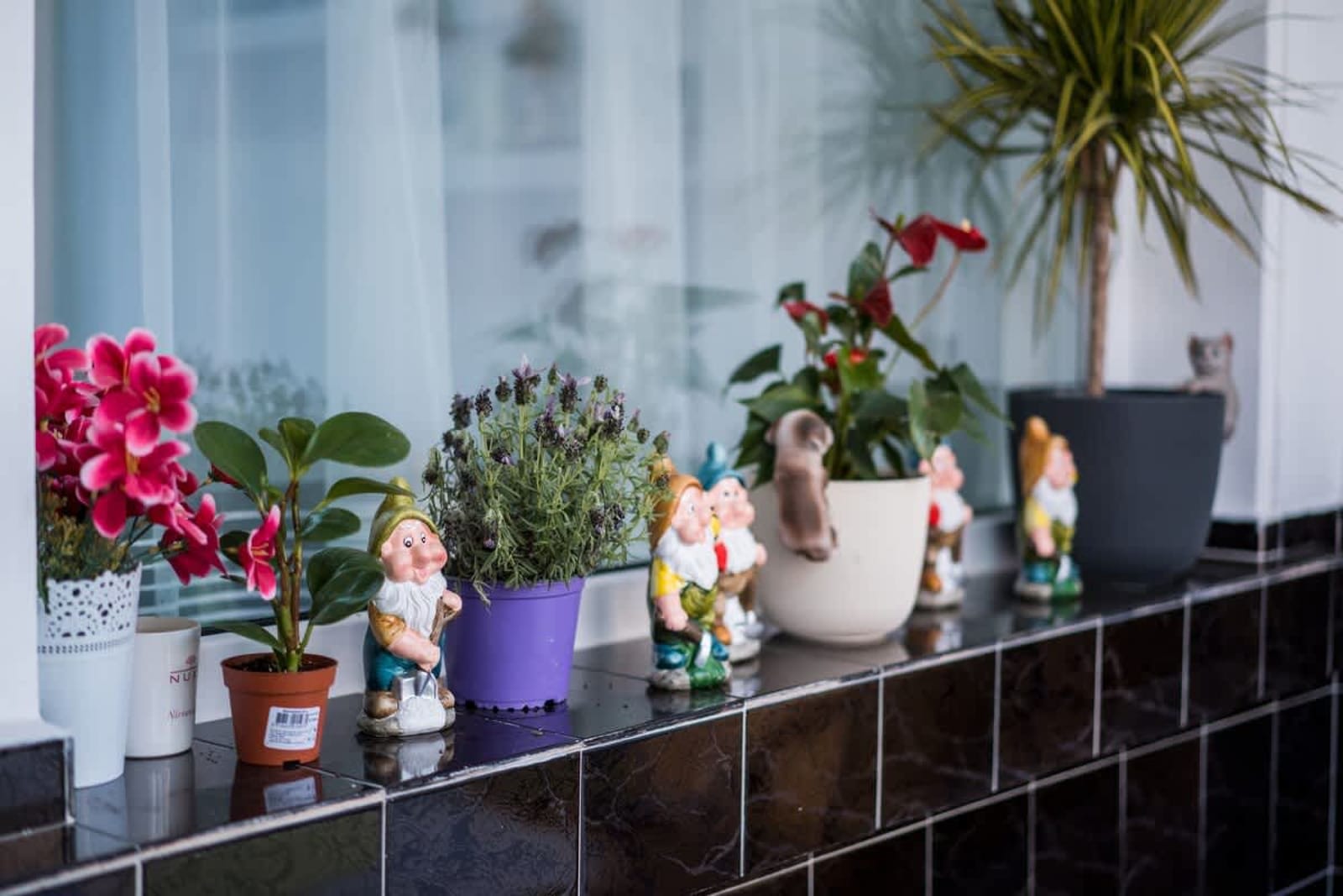 Black Sea 2bdrm Central Apartment - Photo 36