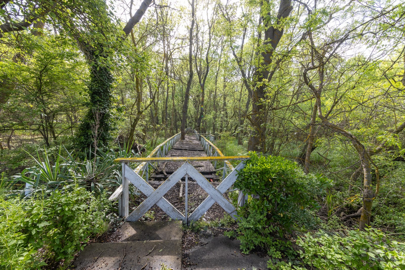 Restaurant RAI - Photo 8