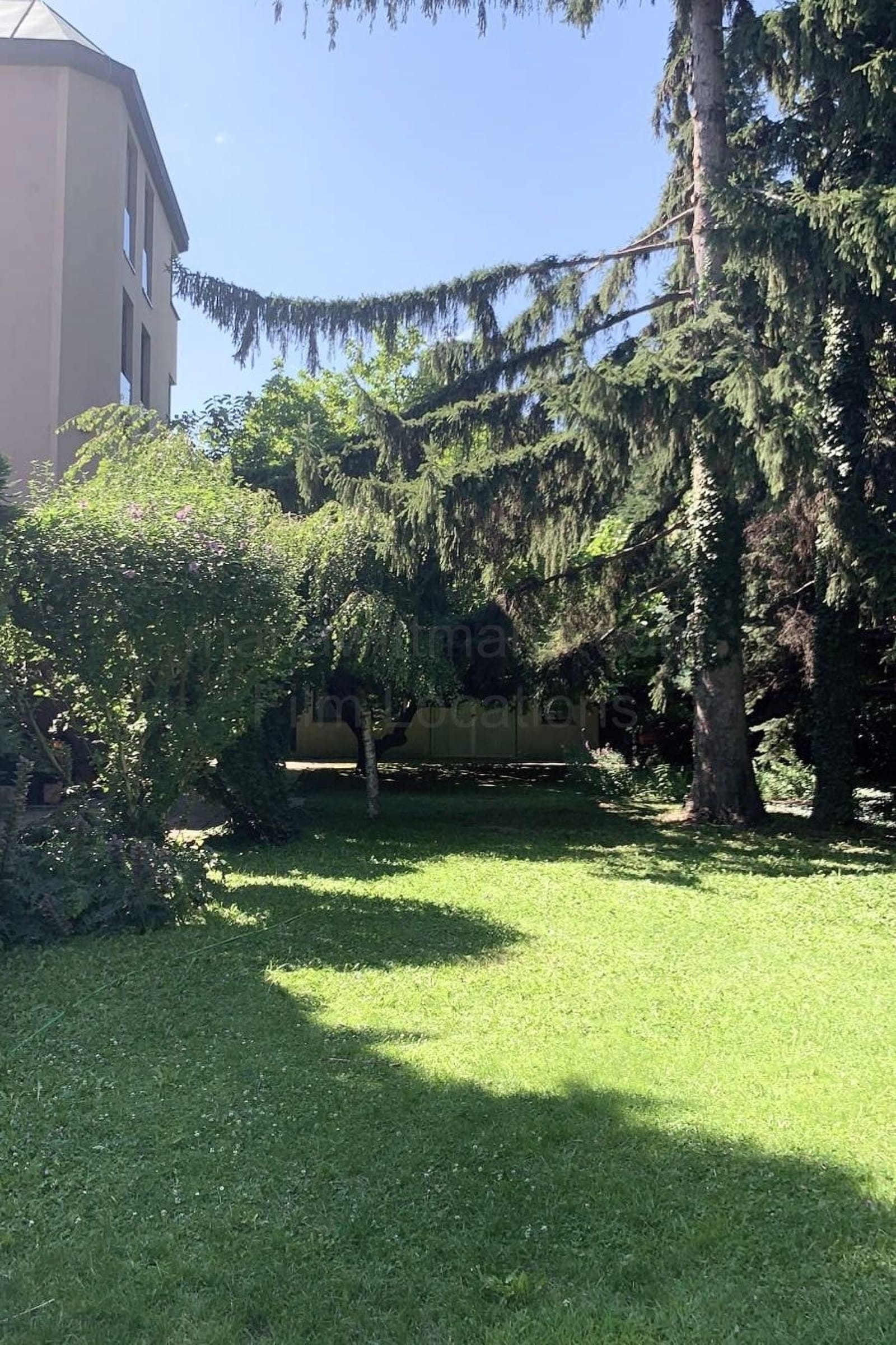 Location 241 - Photo 12