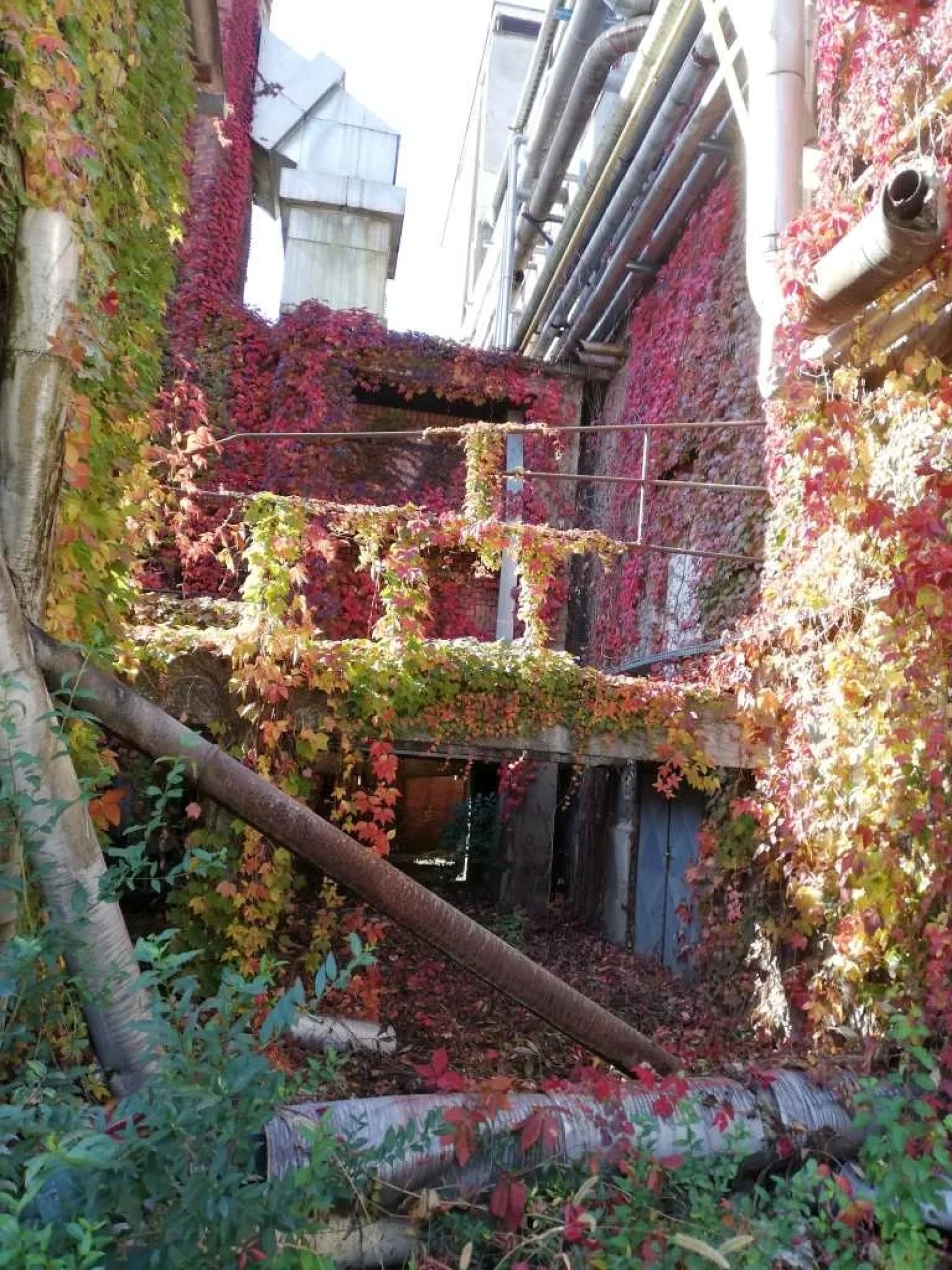 Beautiful Abandoned Factory - Photo 2