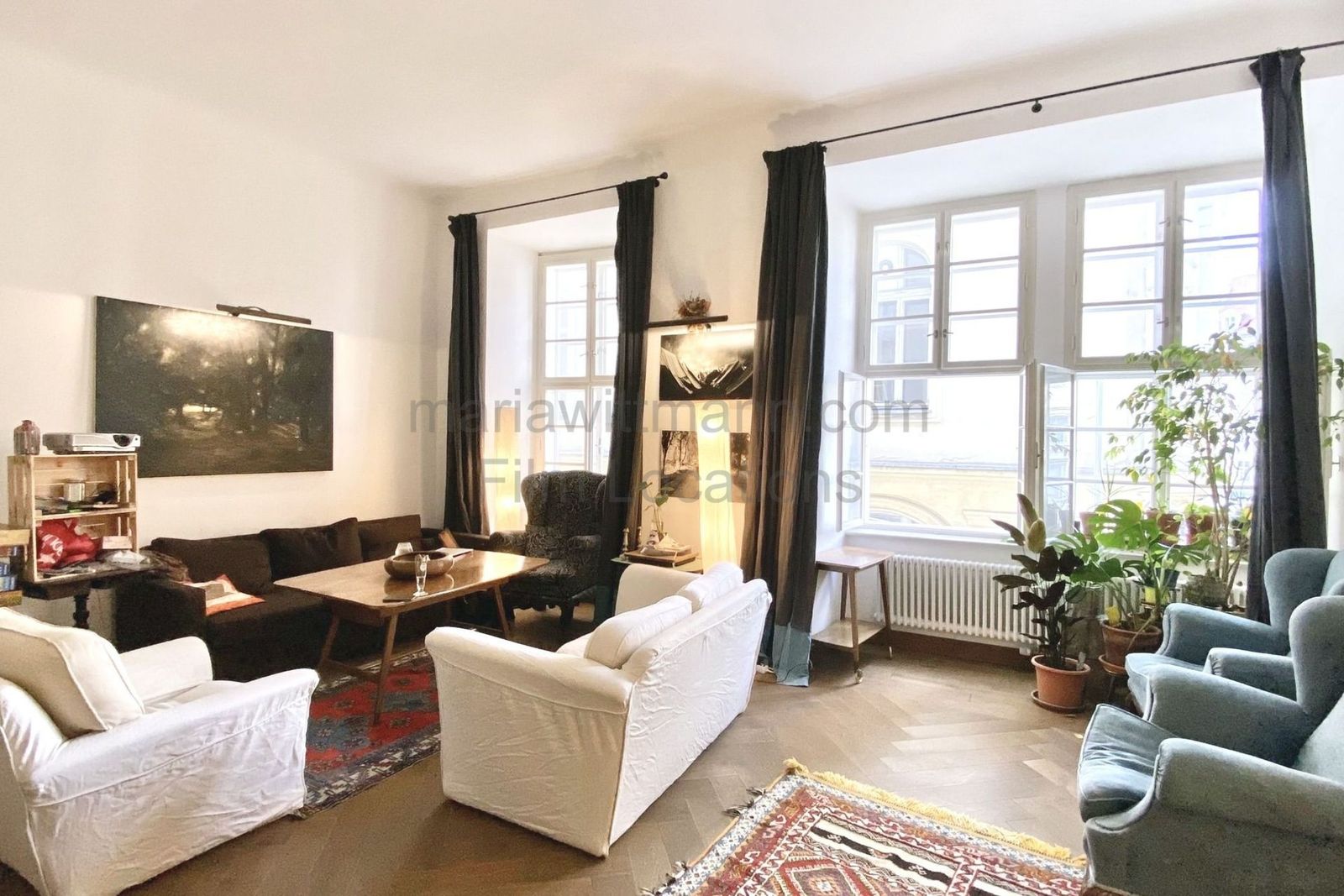 Historic Apartment with Tall Windows and High Ceilings - Photo 4