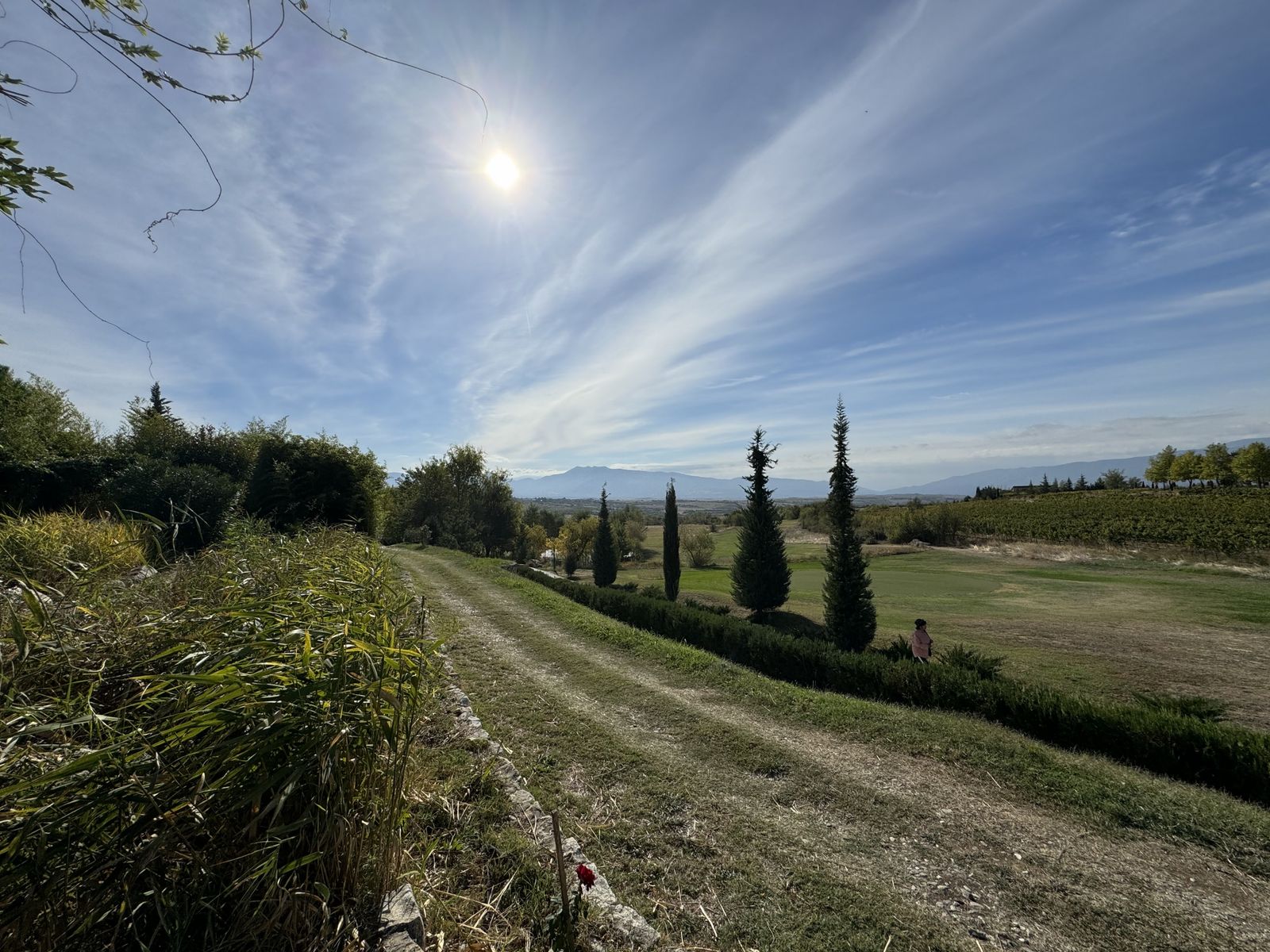 Zornitza Family Estate - Hotel - Photo 50