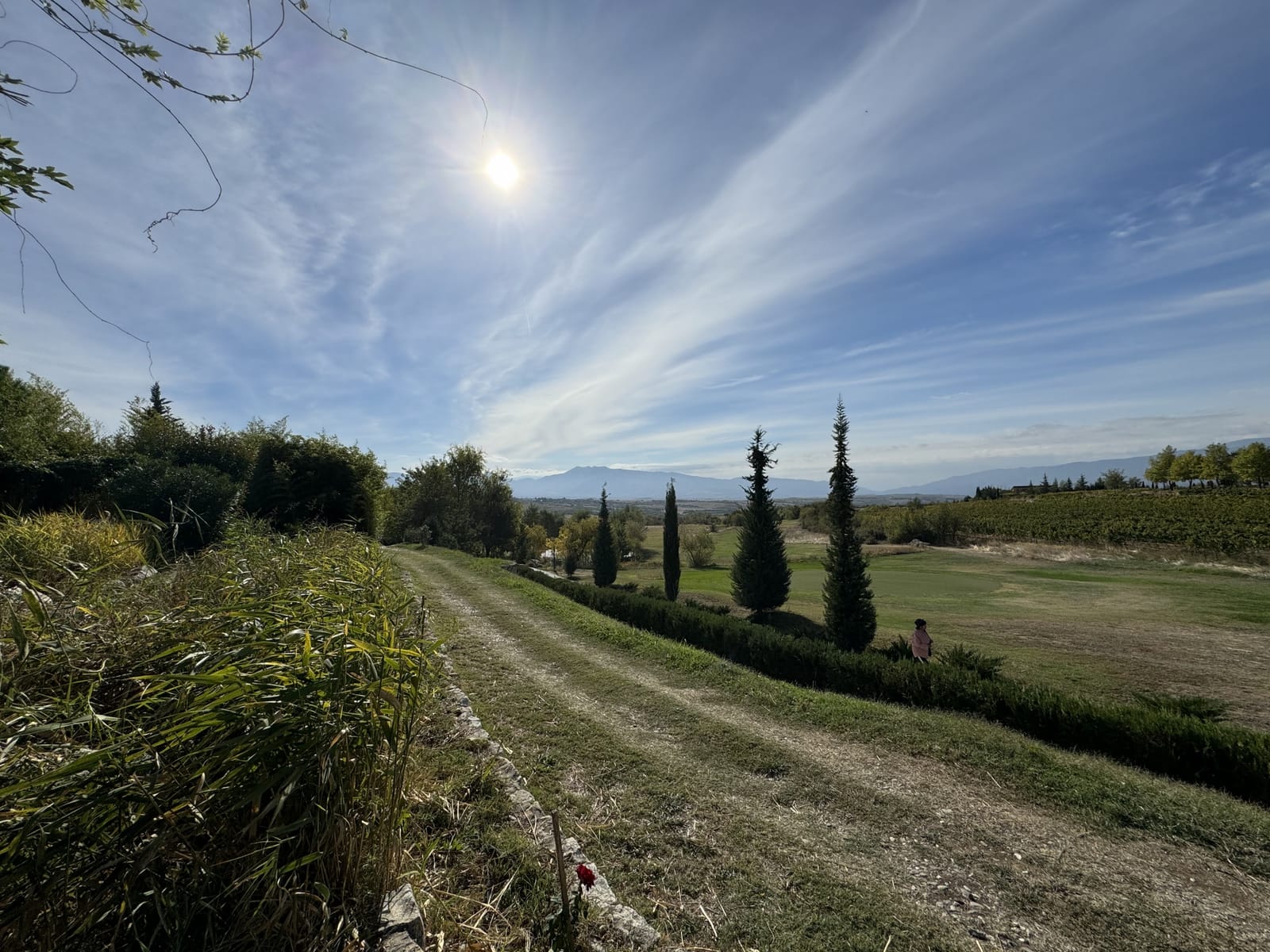 Zornitza Family Estate - Hotel - Photo 50