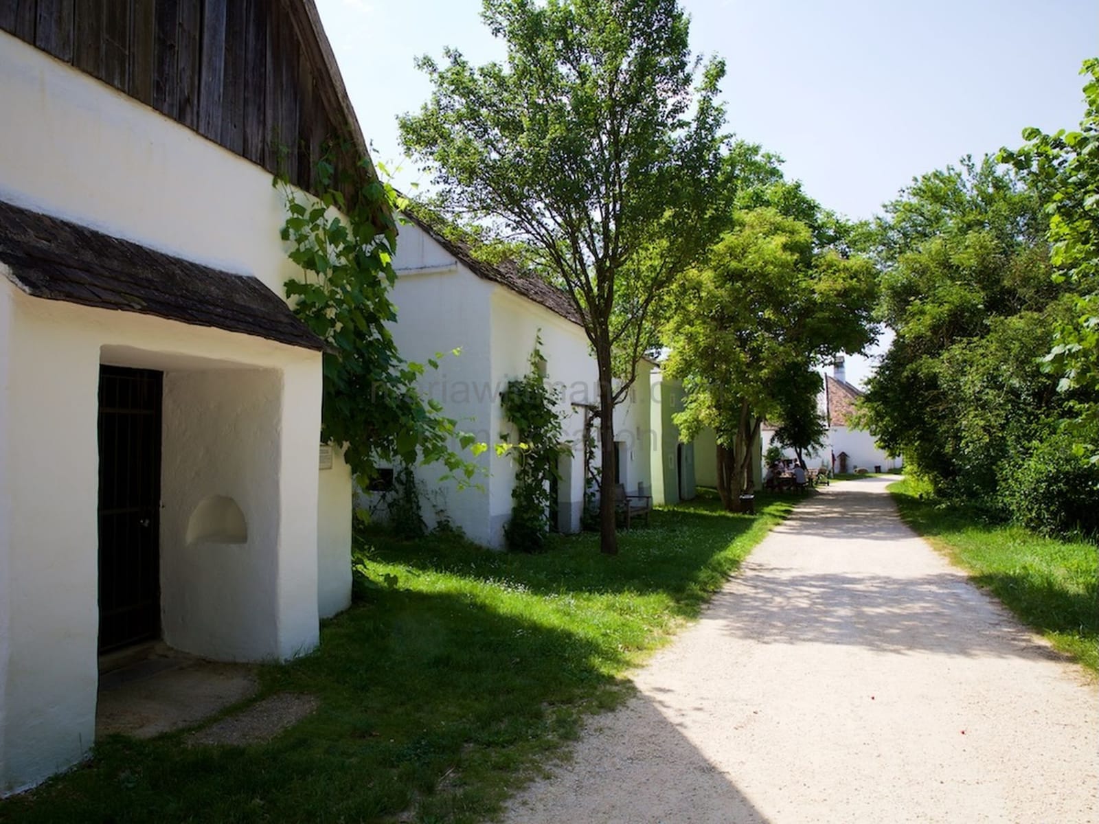 Location 501 - Cover Photo