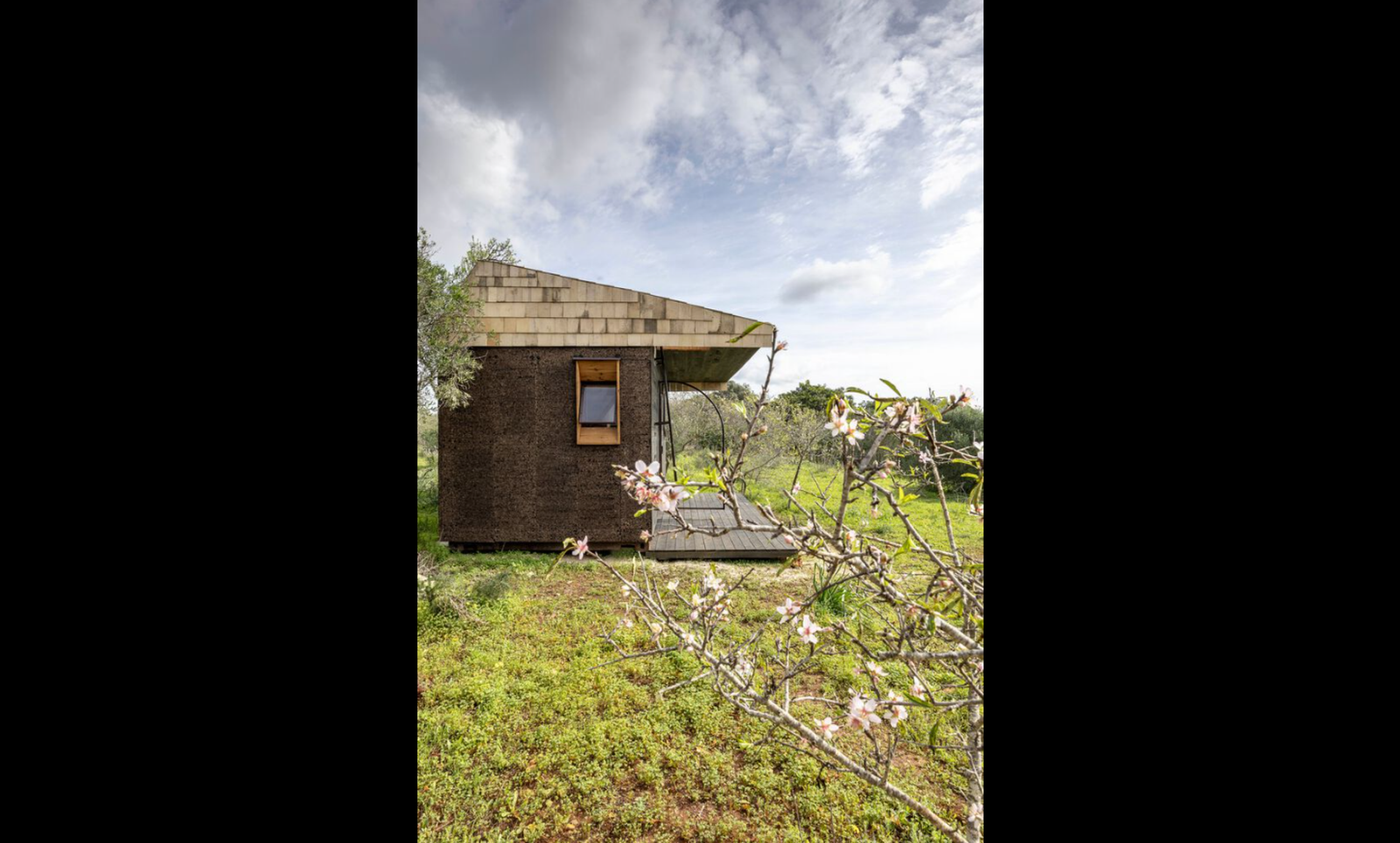 Cargo House - Photo 7