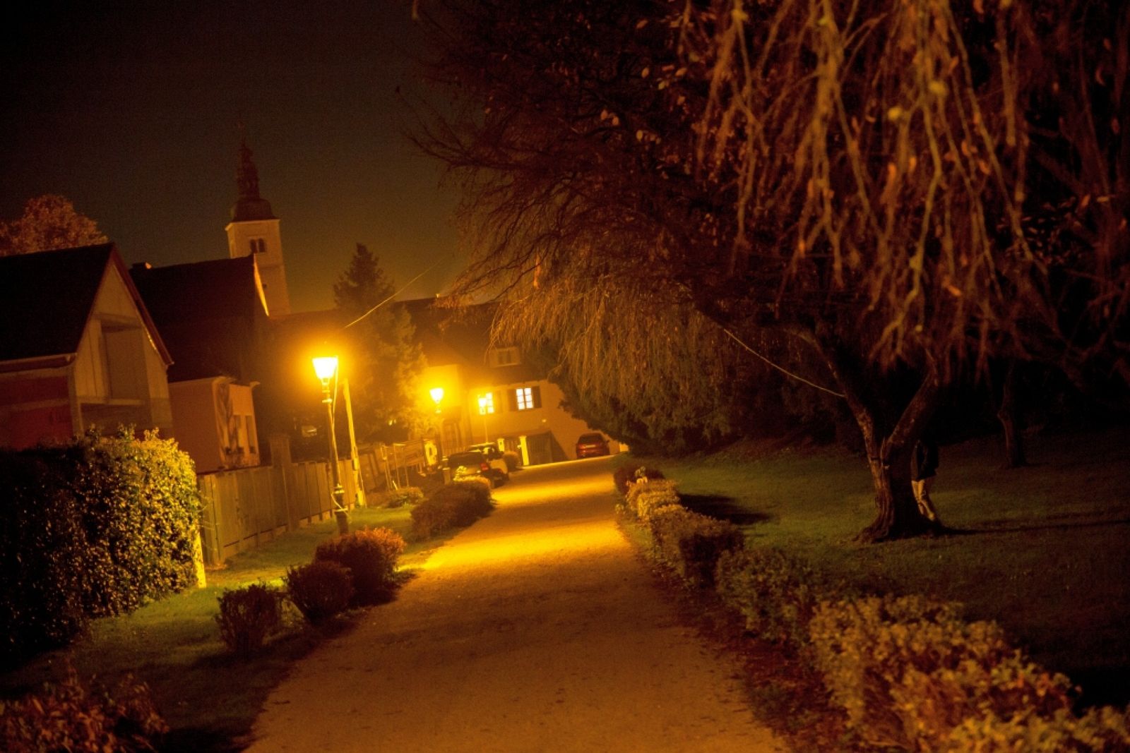 Exotic Castle - Photo 10