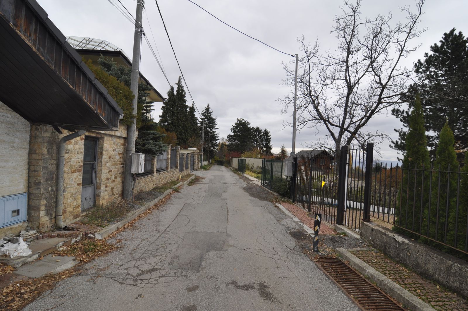 The Mosaic House - Photo 2