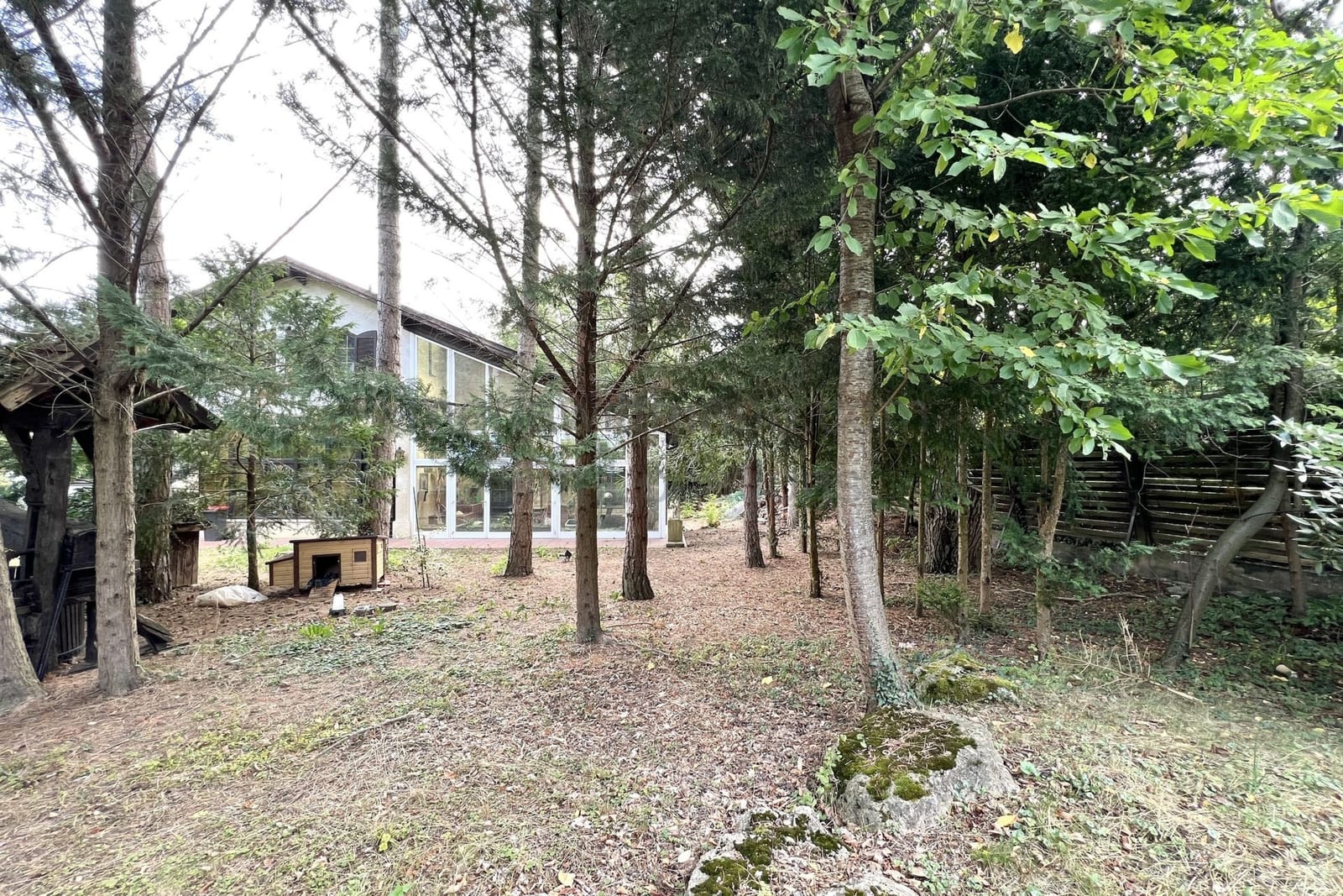 Location 250 - Photo 9