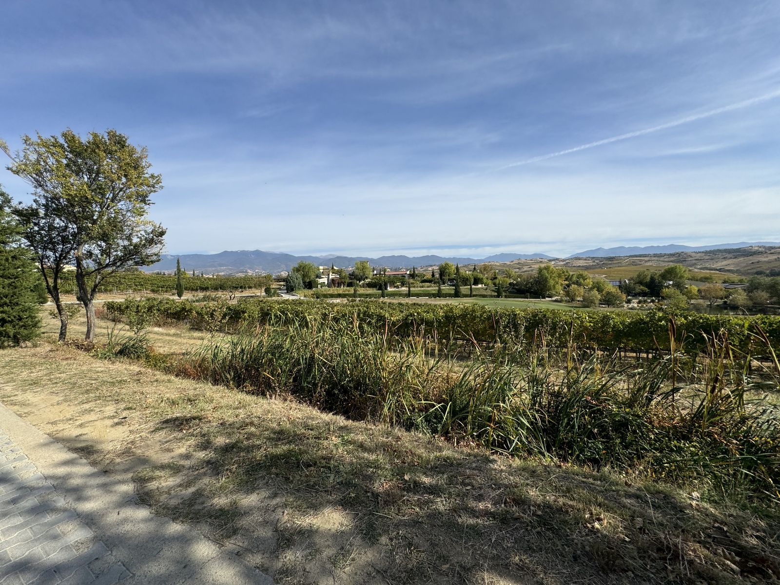 Zornitza Family Estate - Farm - Photo 2