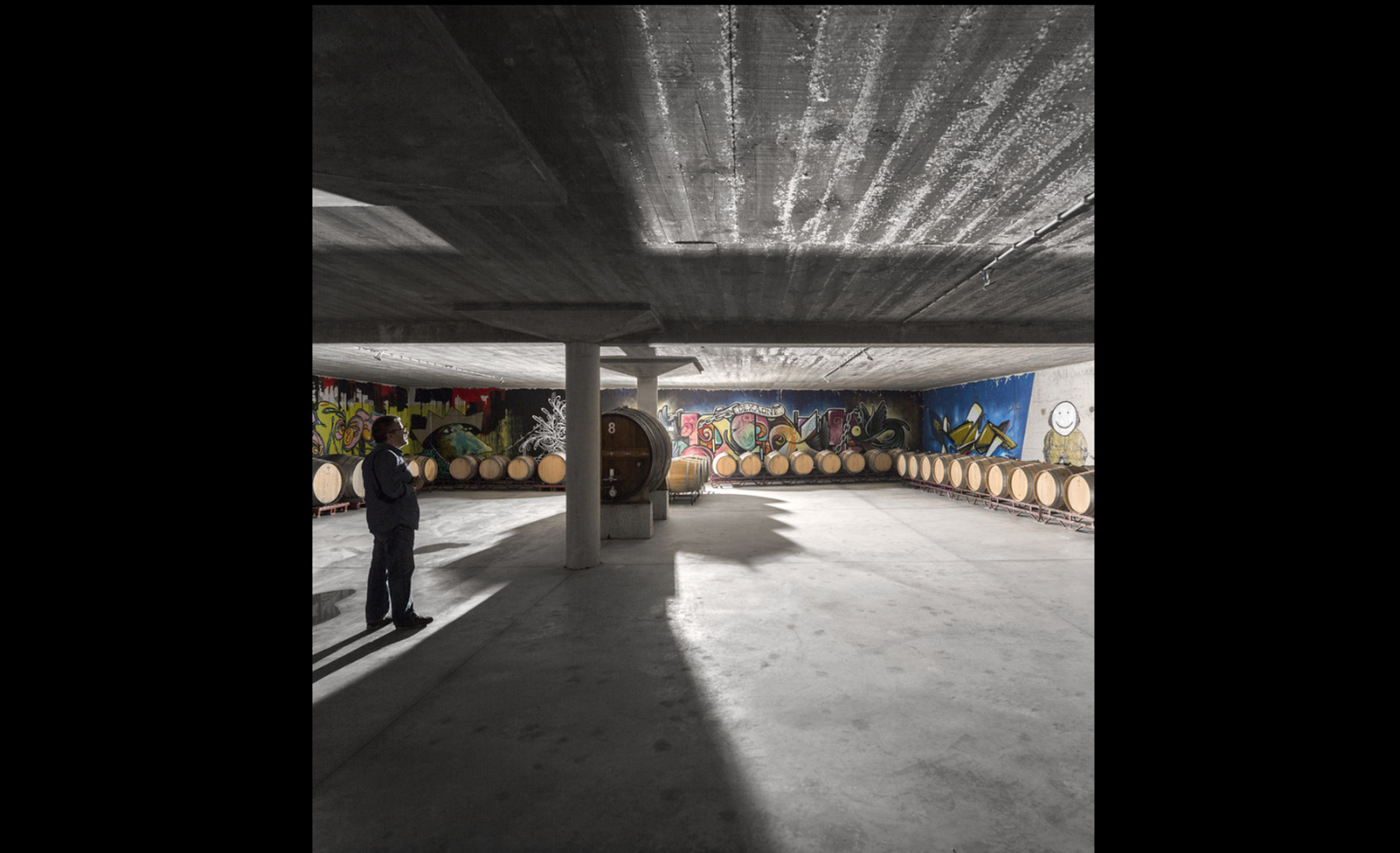 Quinta da Faísca - Photo 4