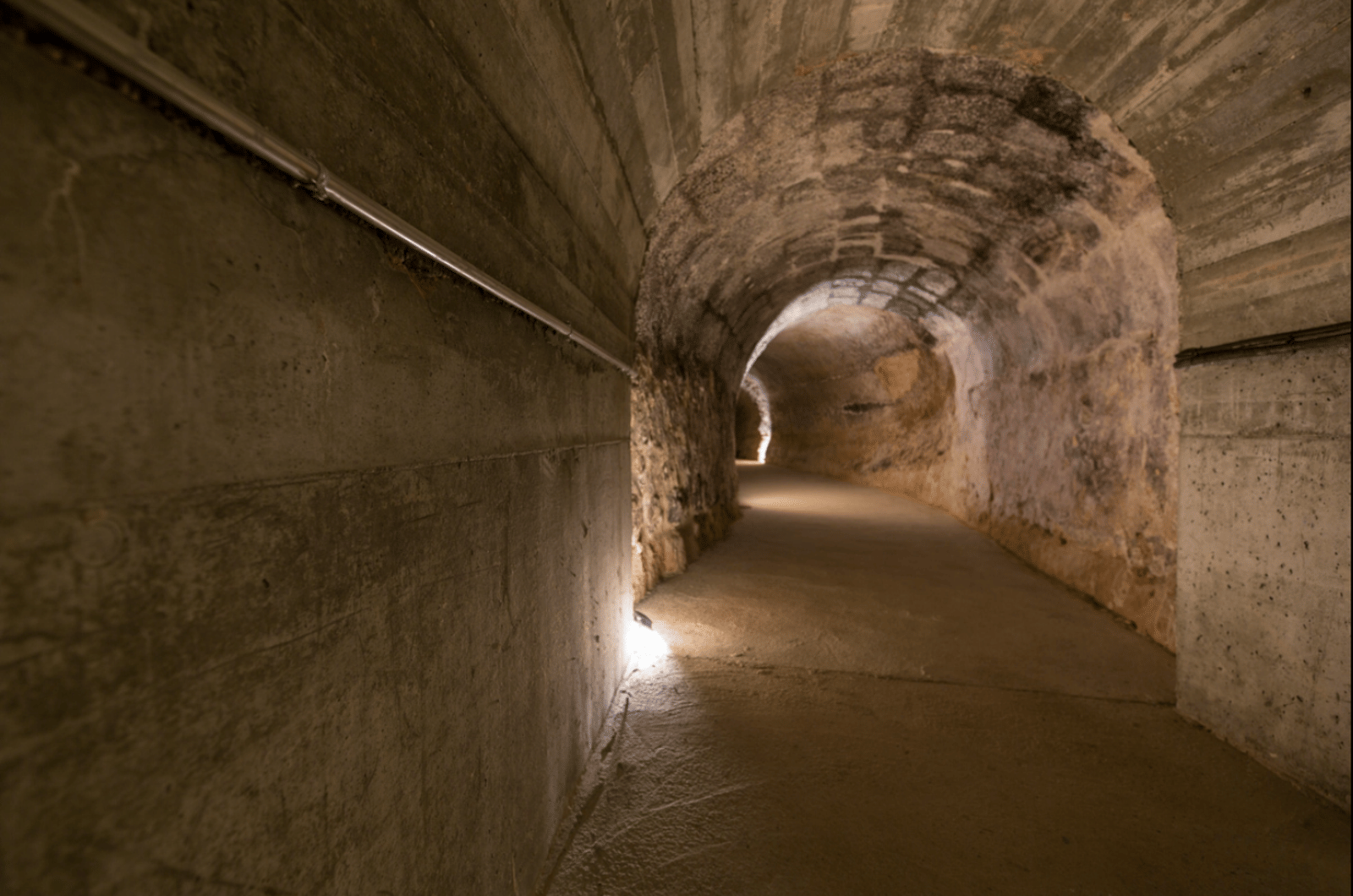 Dominio del Pidio Winery - Photo 8