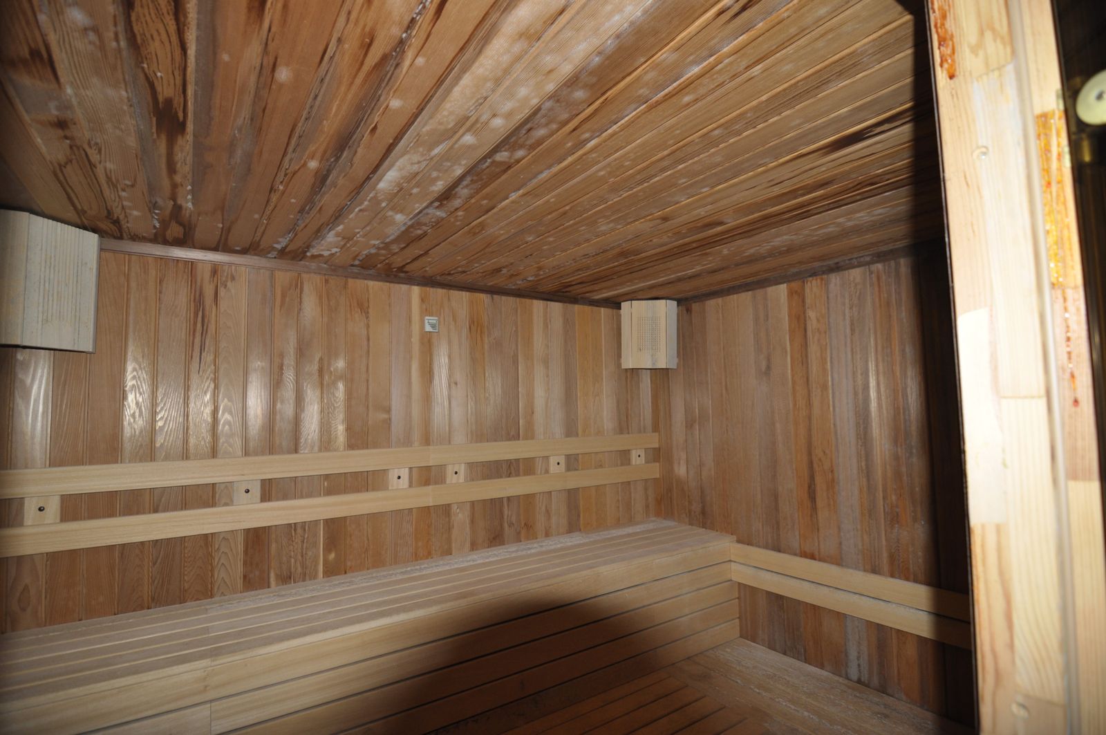 The Flower House - Photo 79