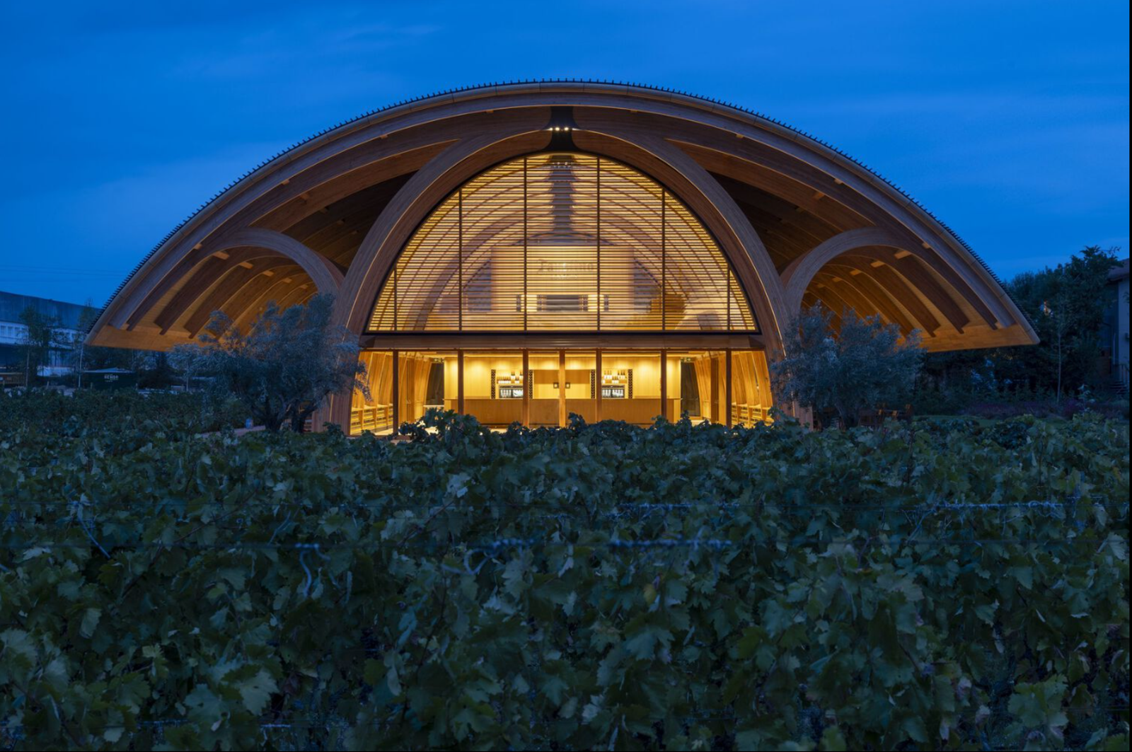 Bodegas Faustino Winery - Photo 5