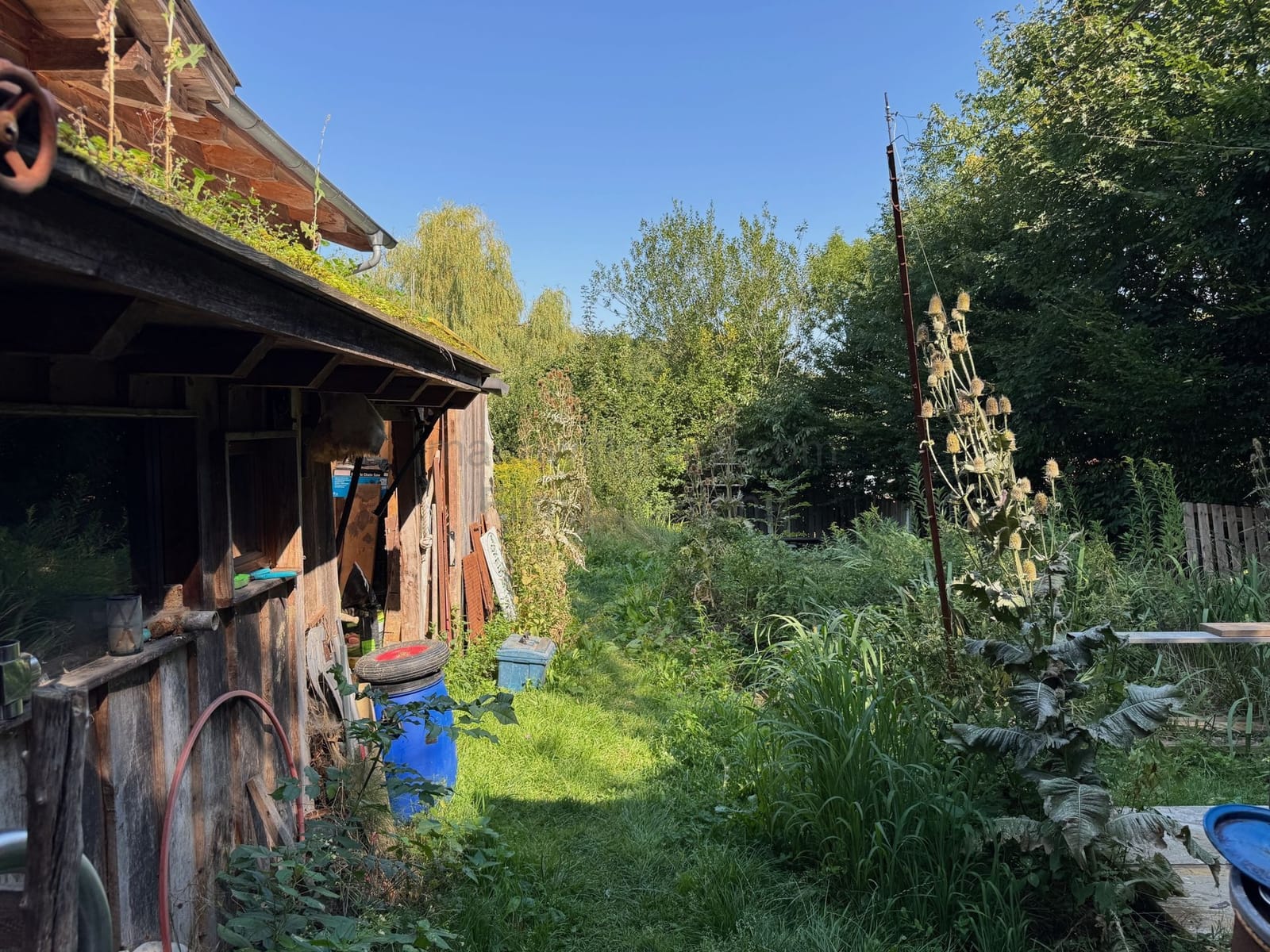 Location 504 - Photo 10