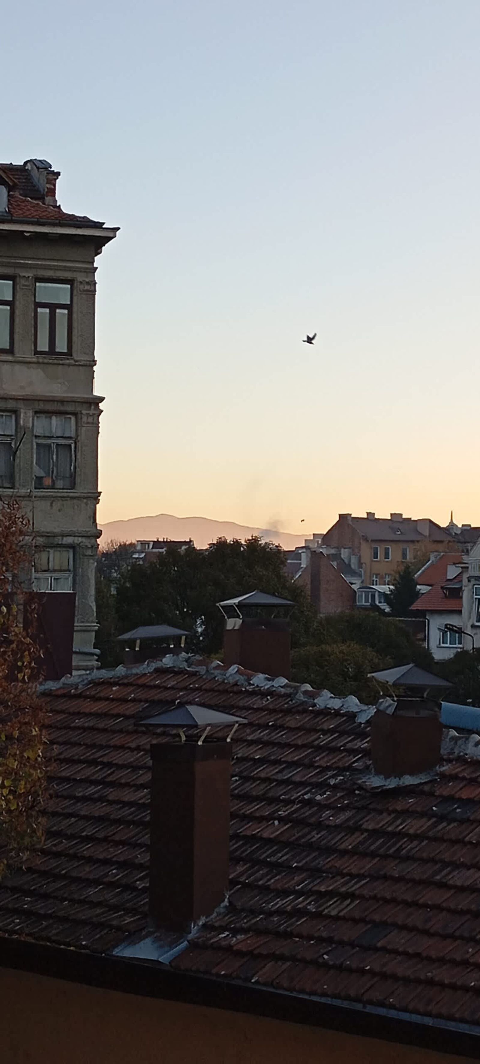 TERRA Design /Award-Winning Apartment/ - Photo 22