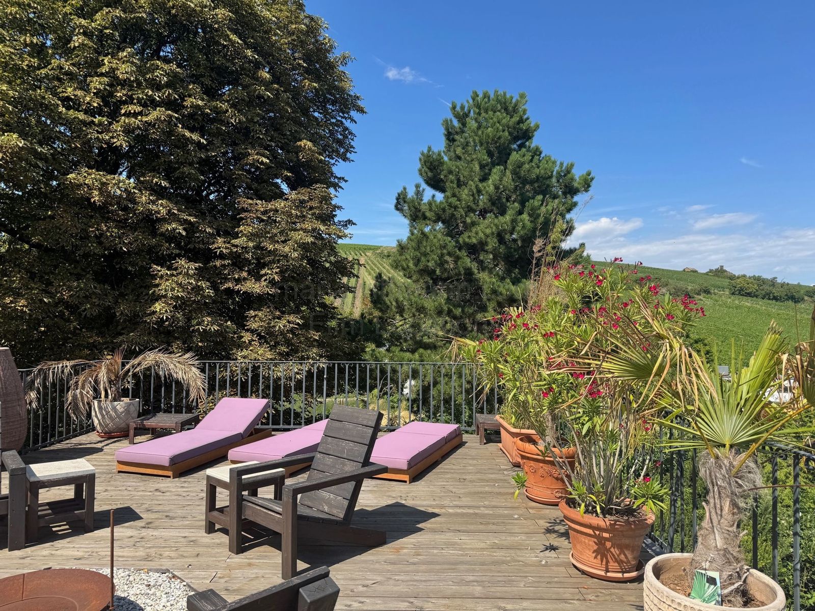 Location 516 - Photo 5