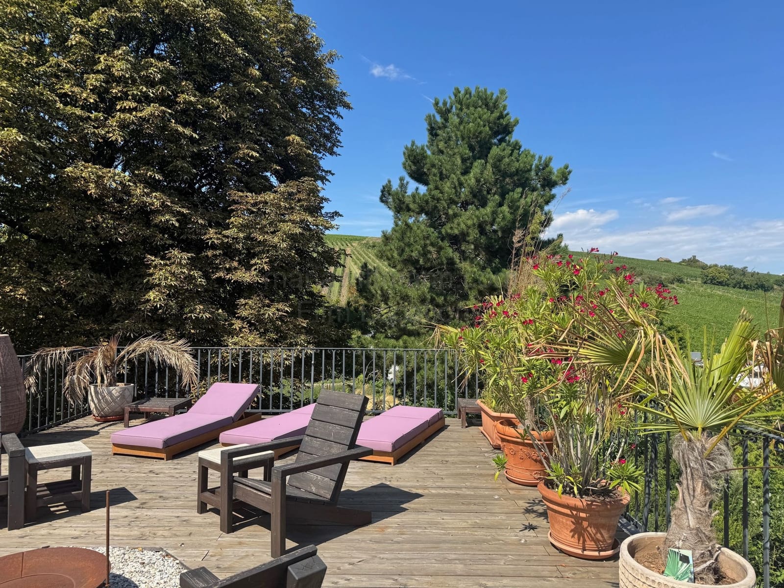 Location 516 - Photo 5