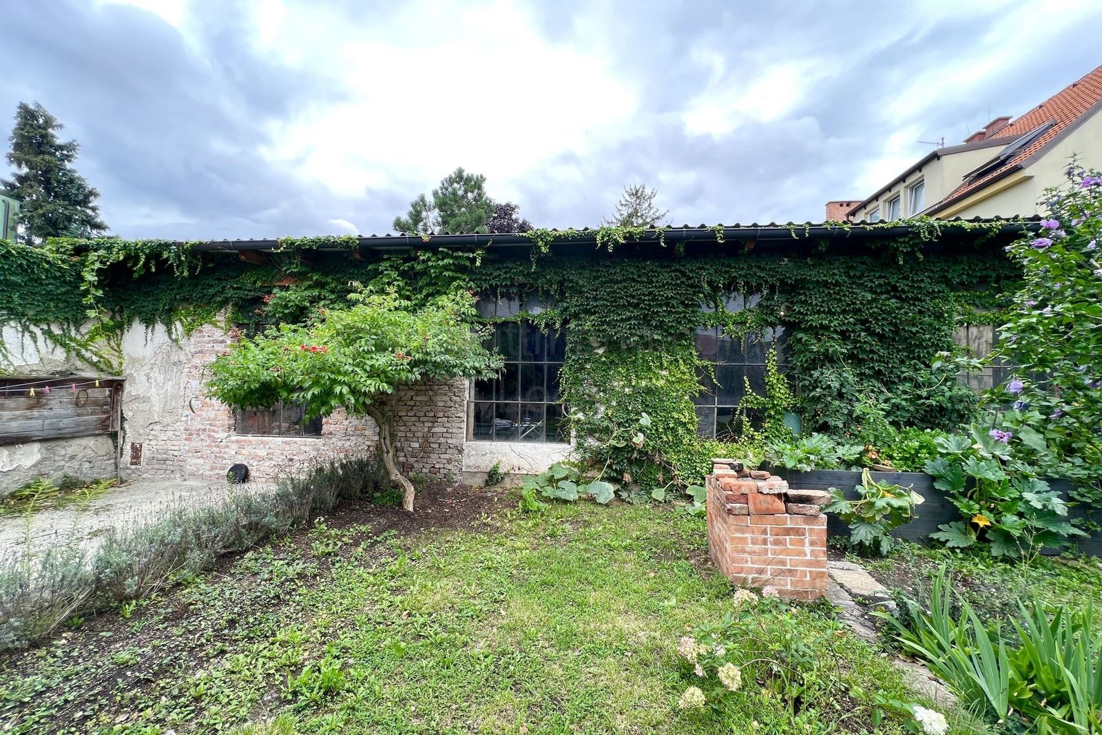 Location 264 - Photo 6