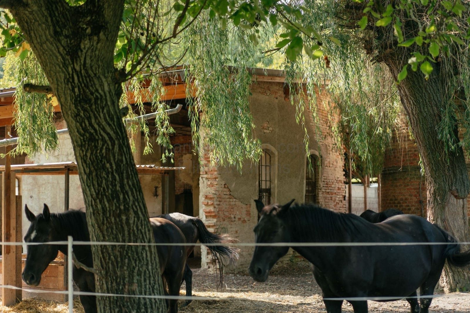 Location 511 - Photo 5